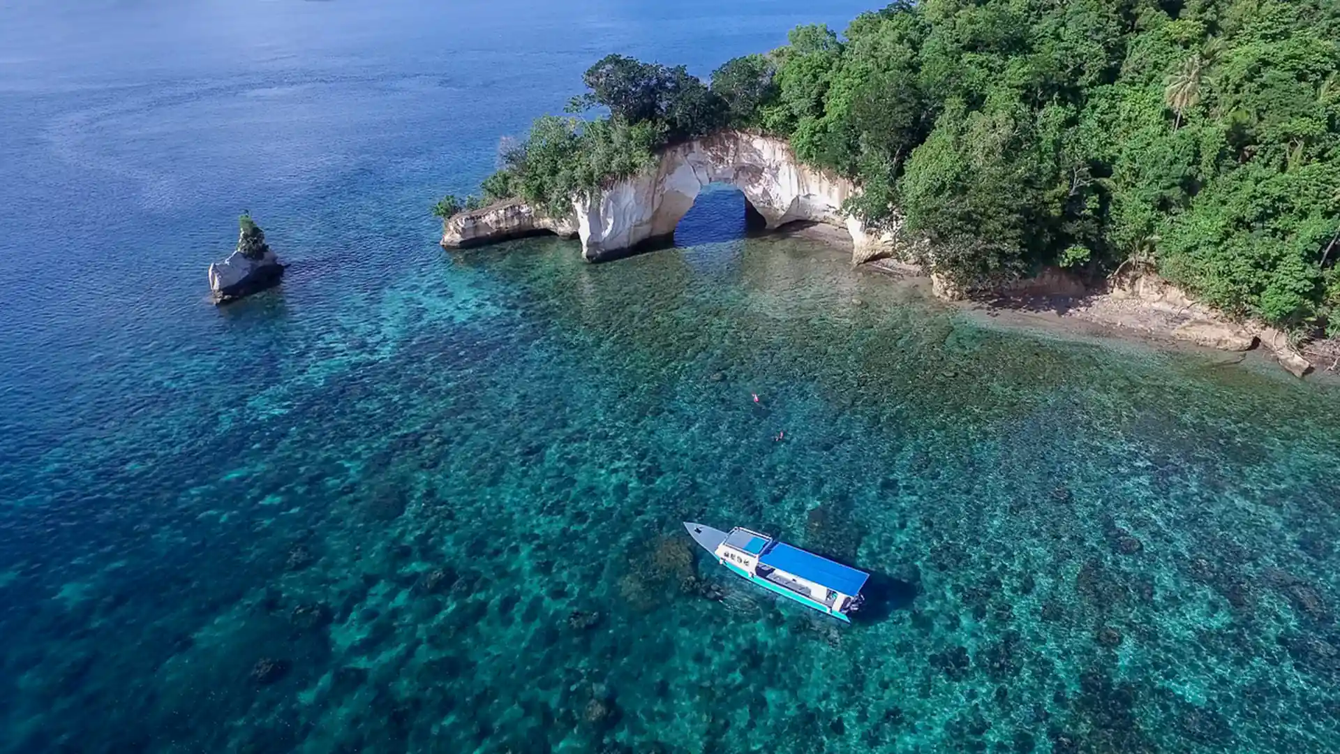 Dive shop photo