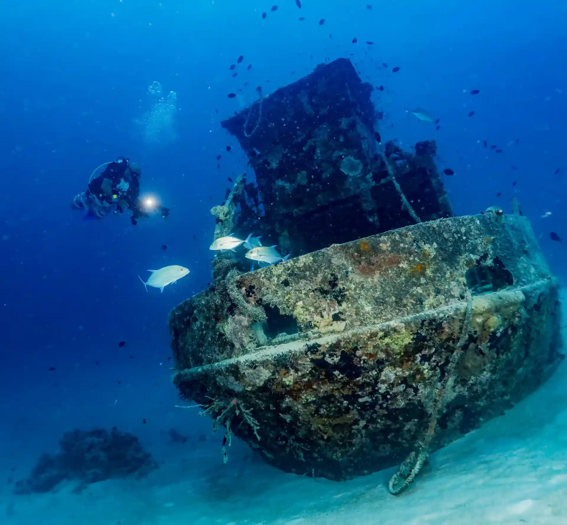 Dive site photo