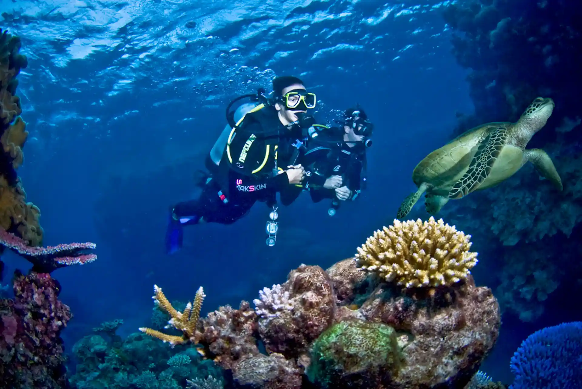 Dive site photo