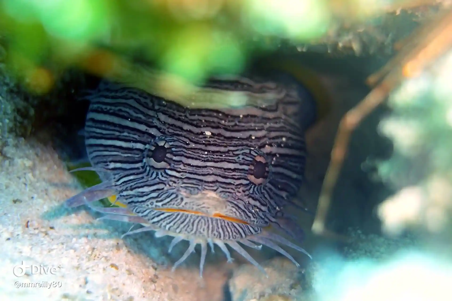 Dive site photo