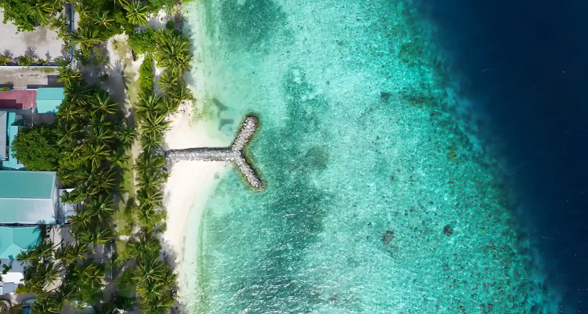 Vaali Island Escapes & Dive Maldives | Dive Resort | PADI Travel