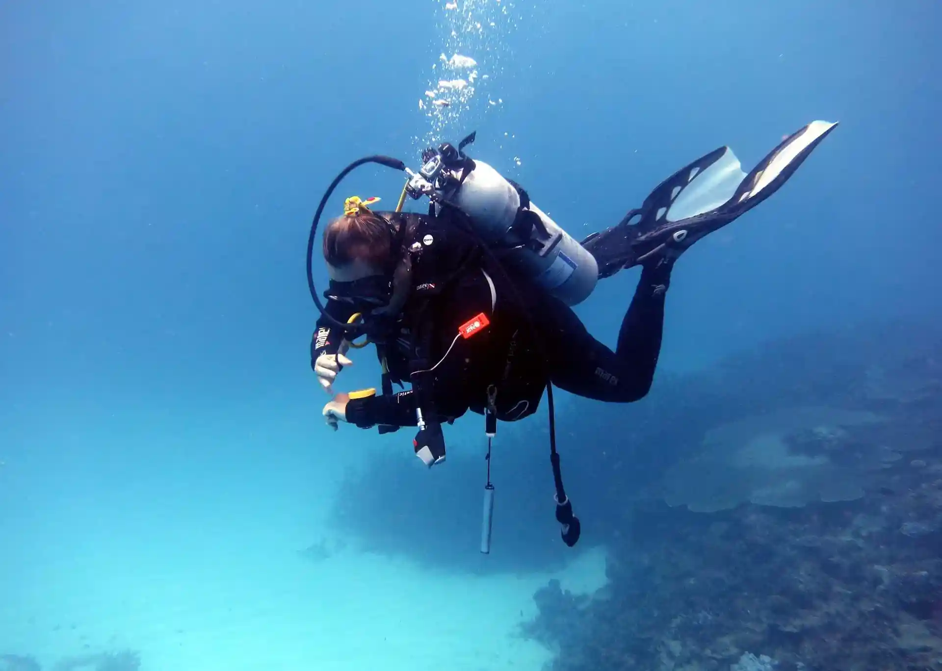 A diver standing out in the beautiful clear blue water