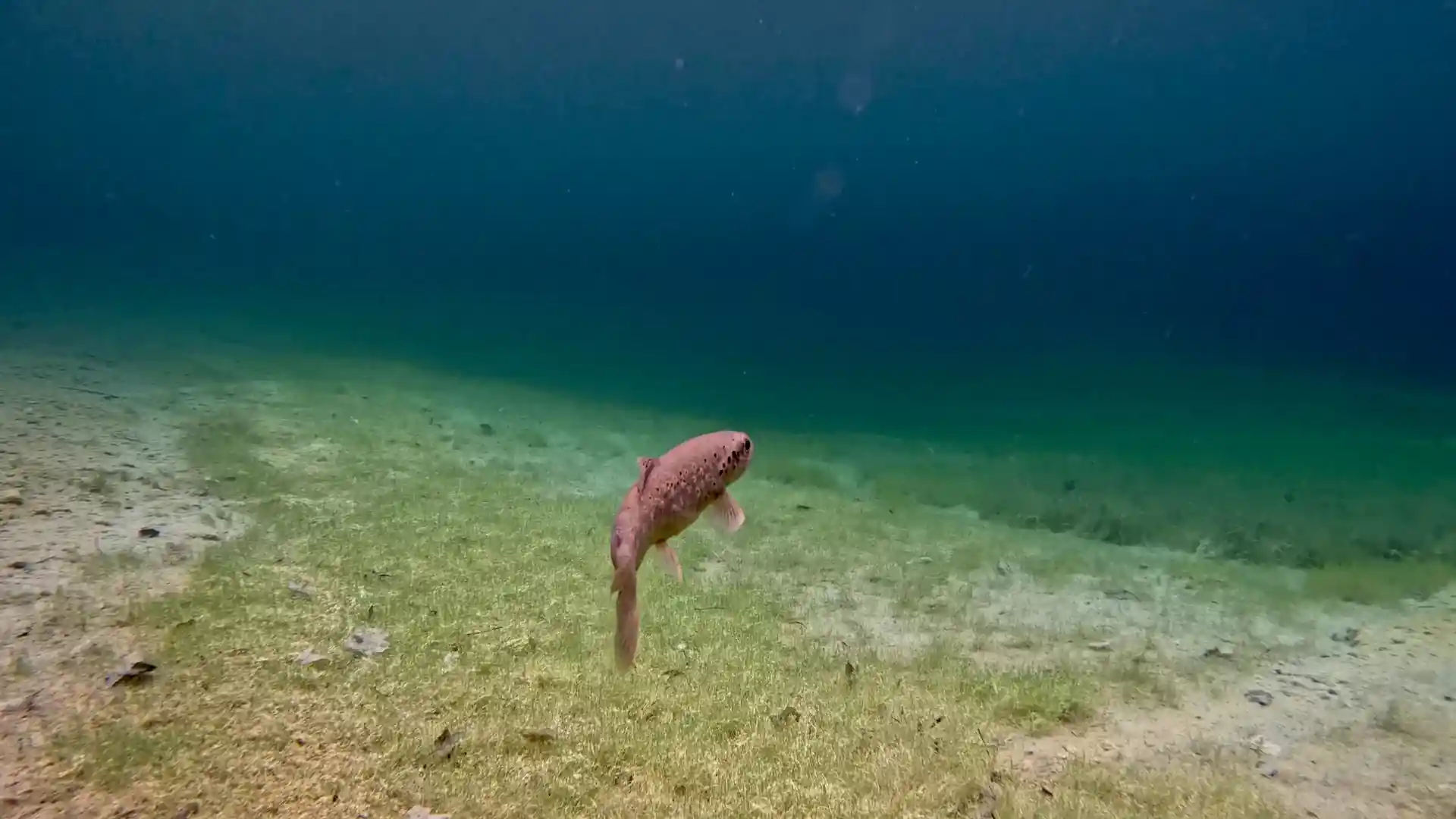 Foto des Tauchplatzes