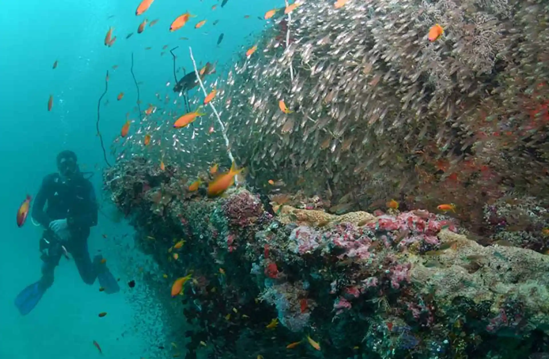Dive site photo