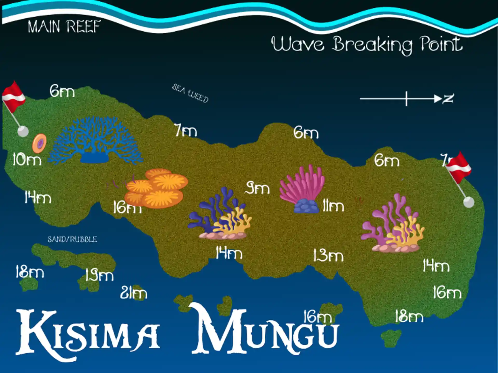 ダイビングサイトの写真