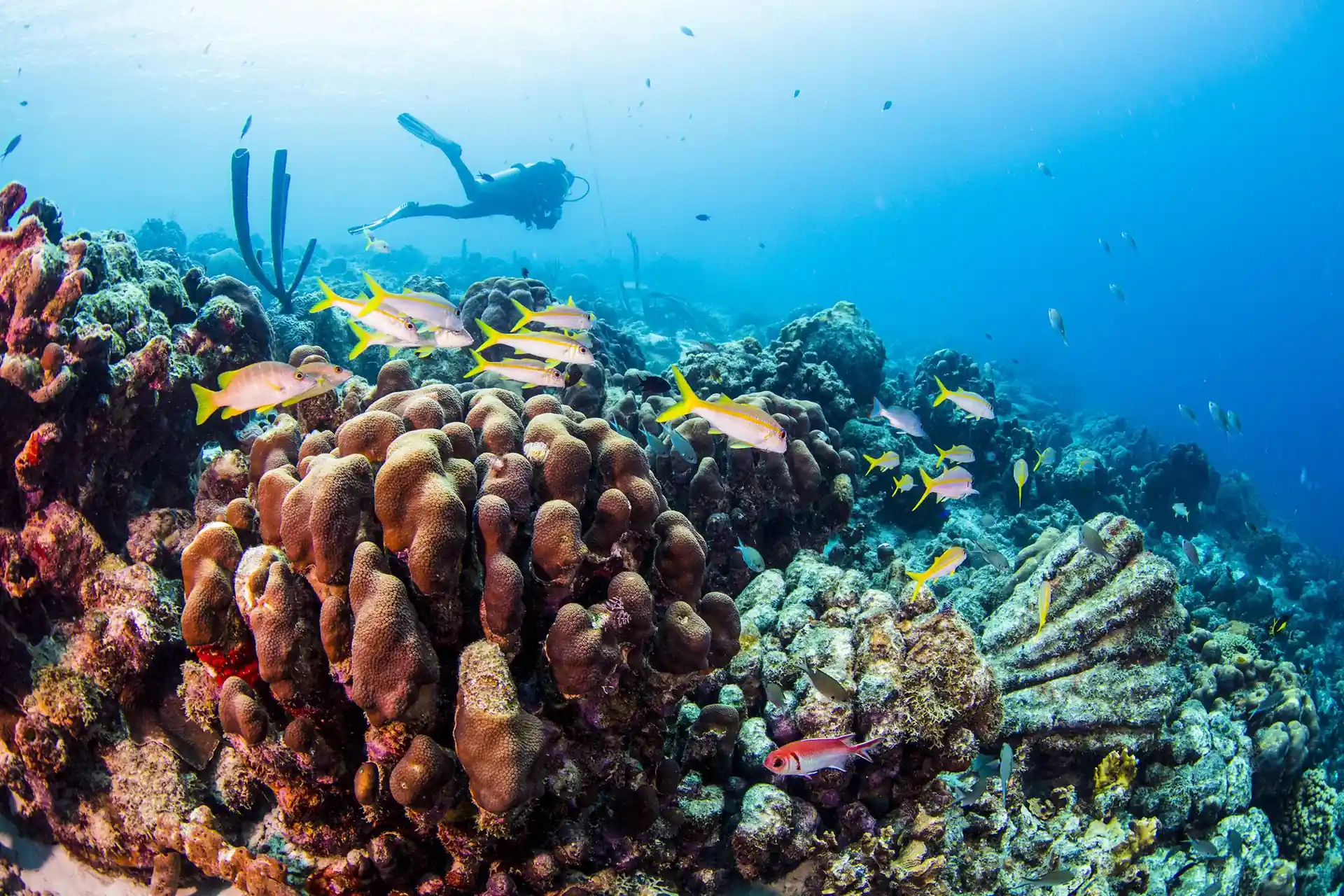Dive site photo