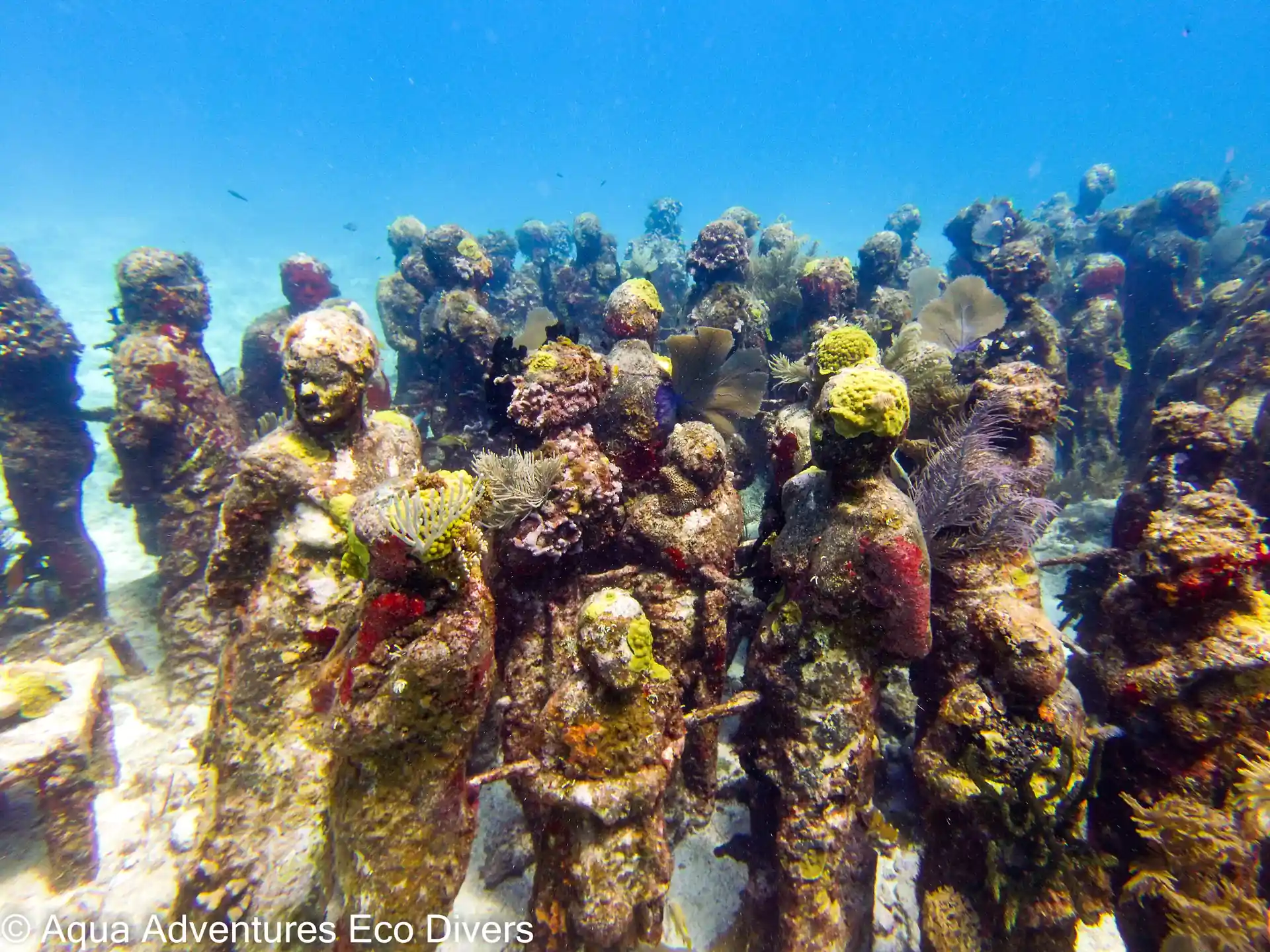 Photo de l'activité