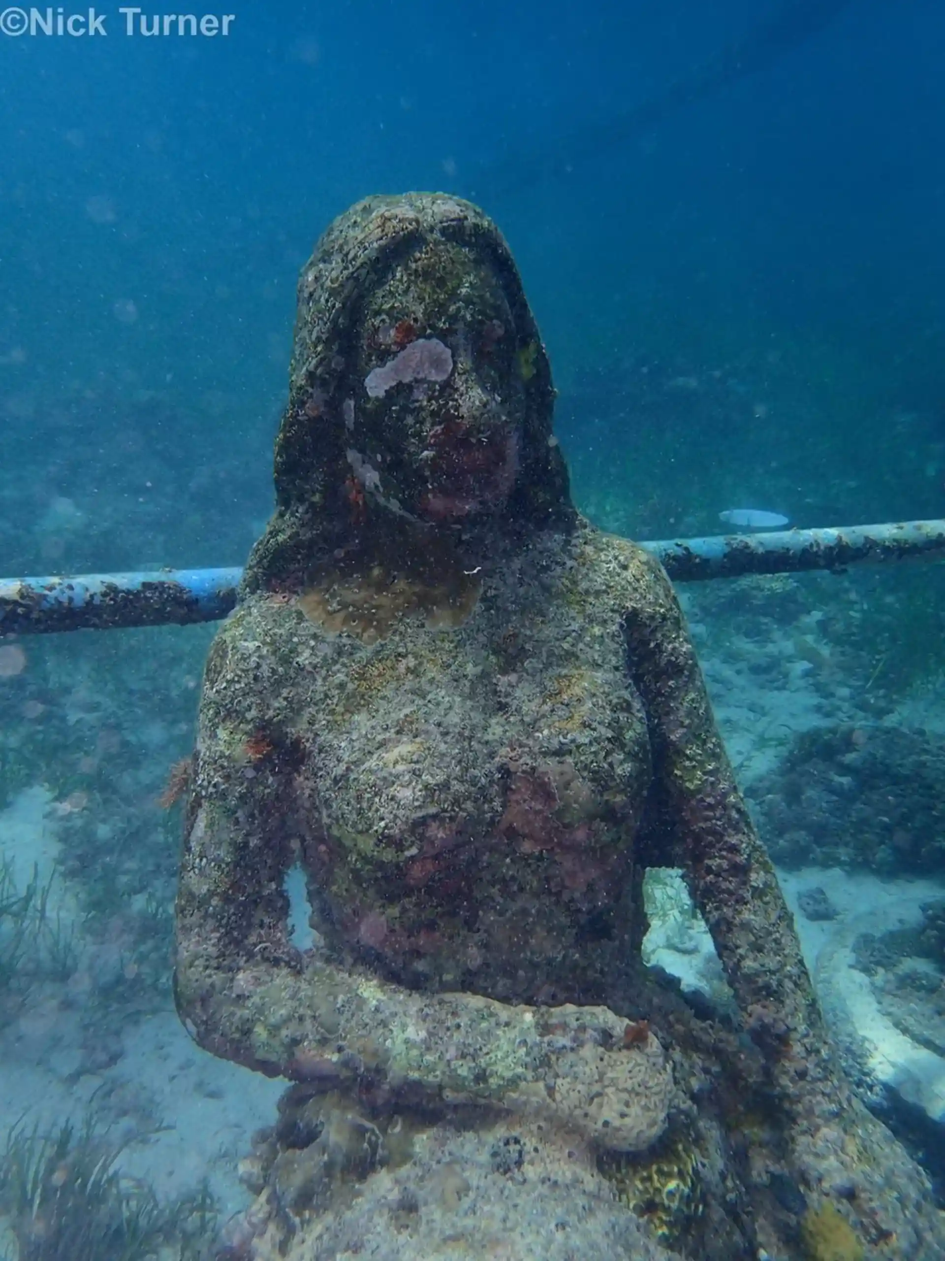 Foto van de duiklocatie