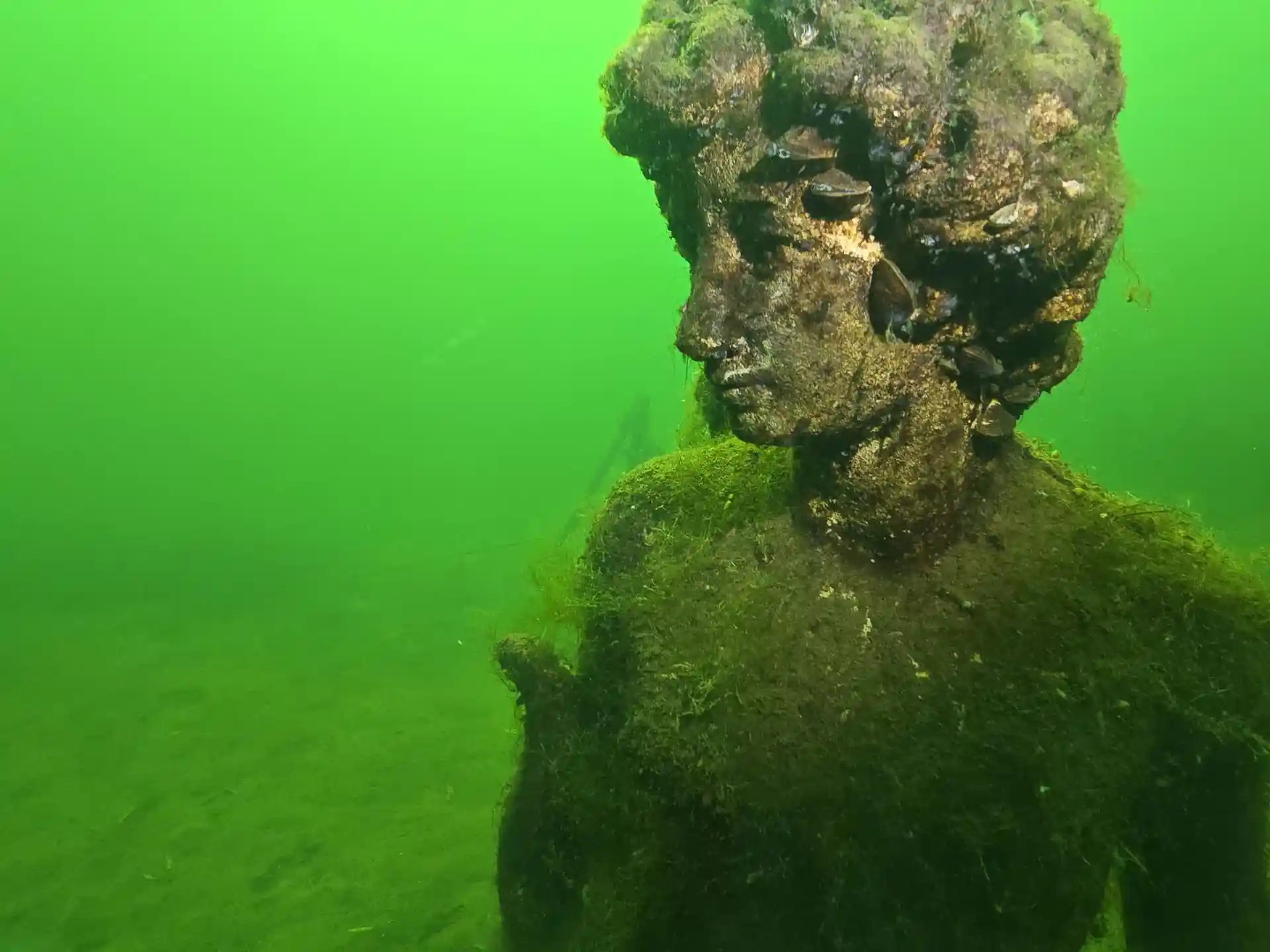 다이빙 포인트 사진