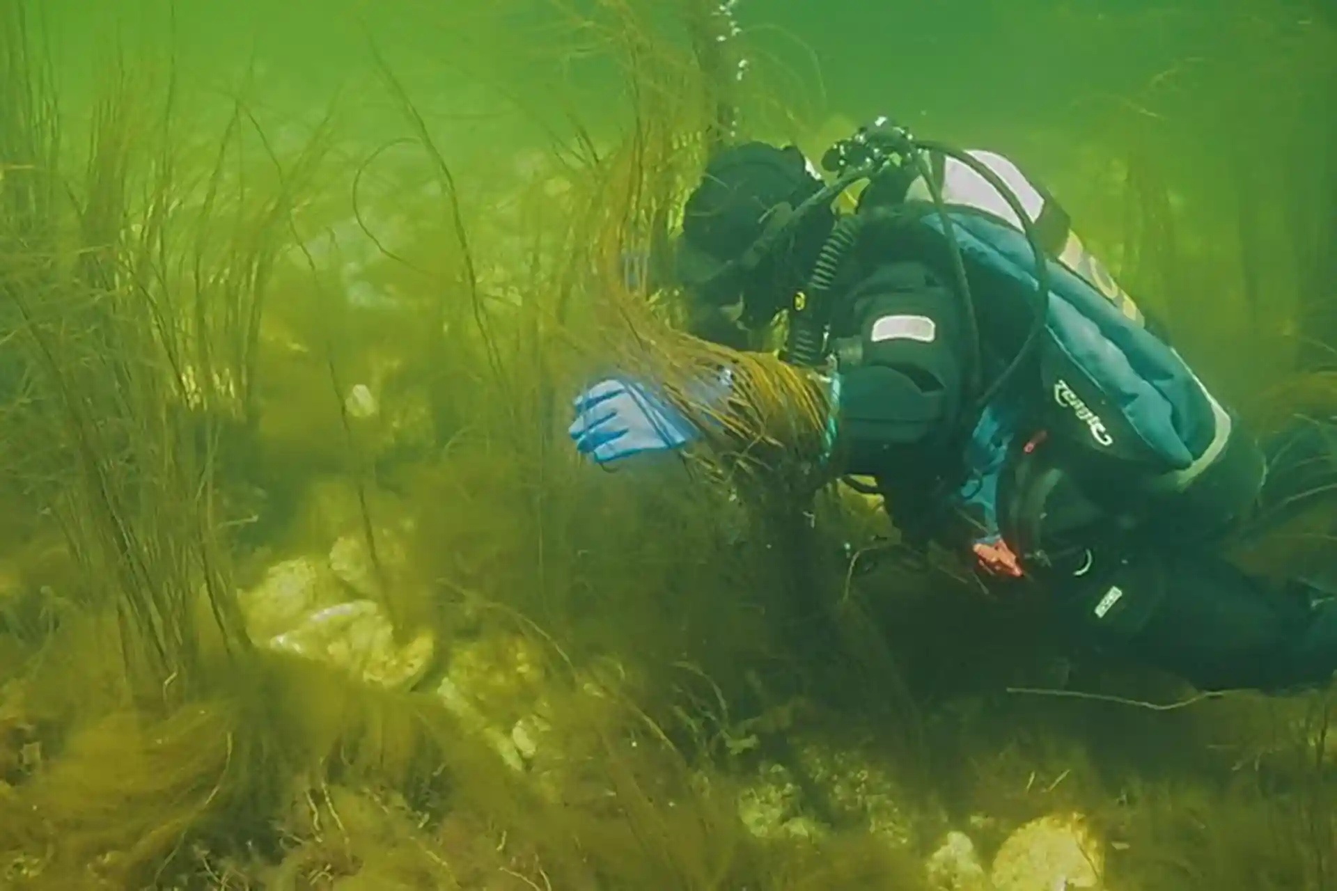 다이빙 포인트 사진