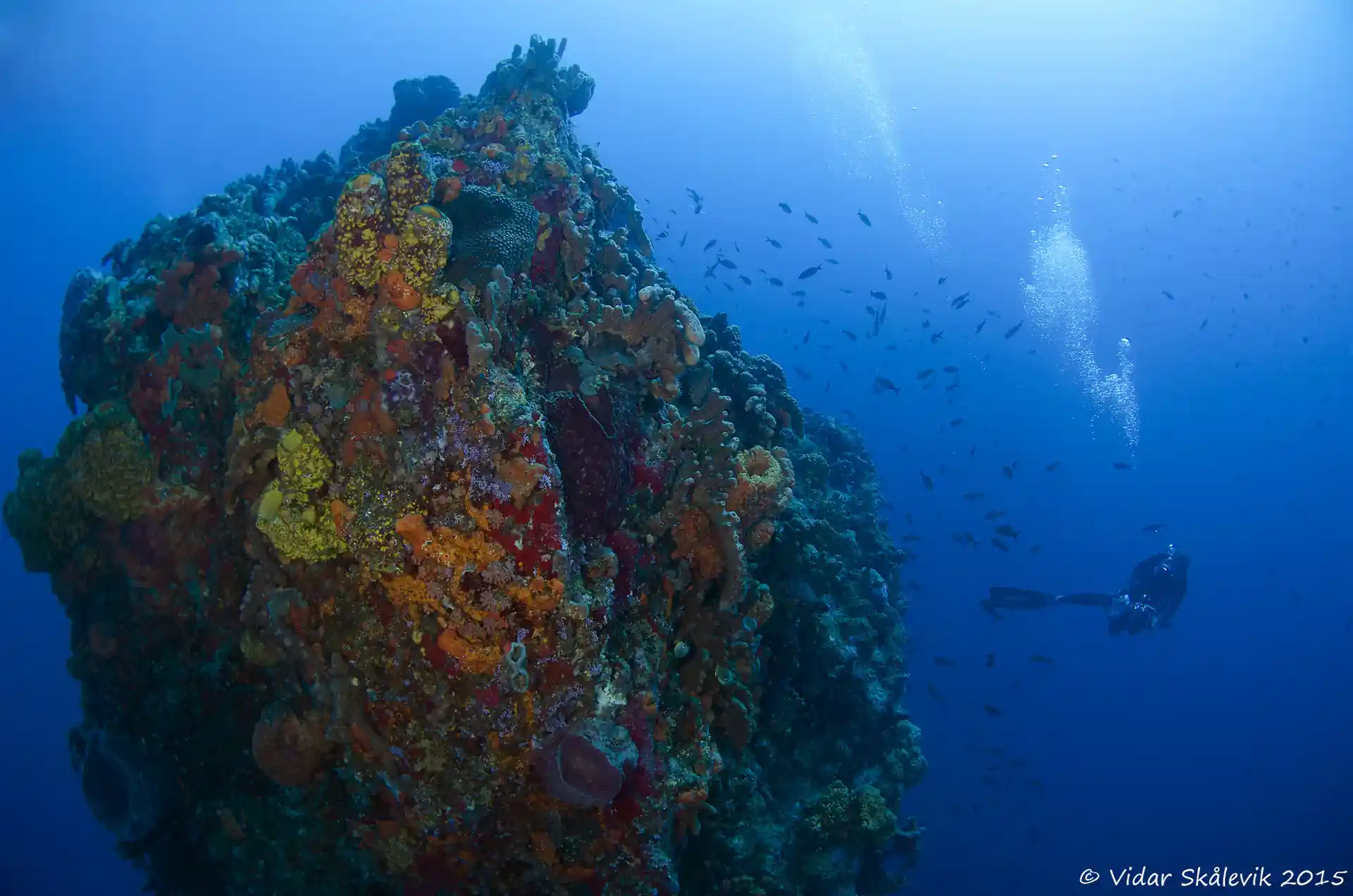 Foto van de duiklocatie