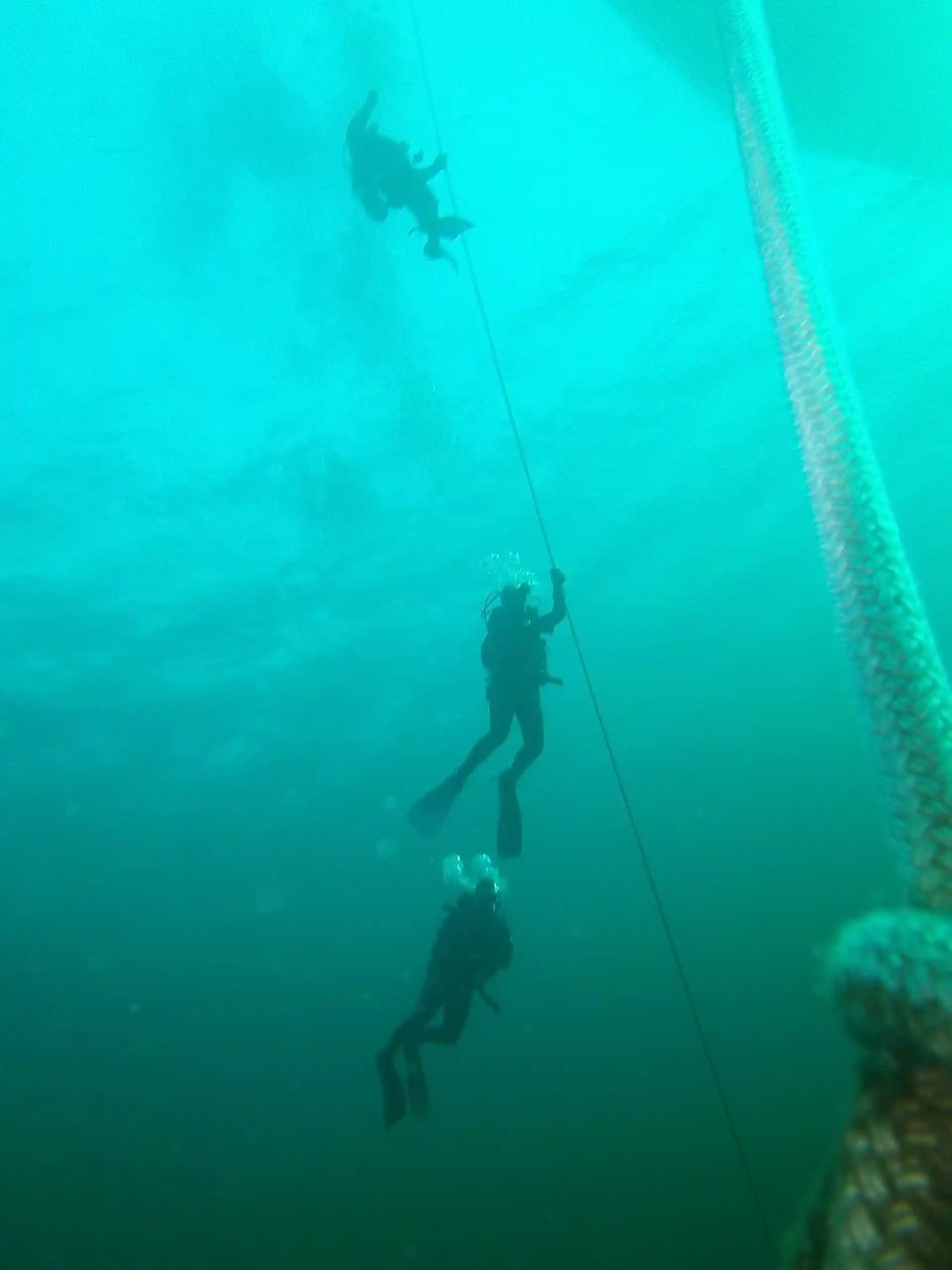 다이빙 포인트 사진