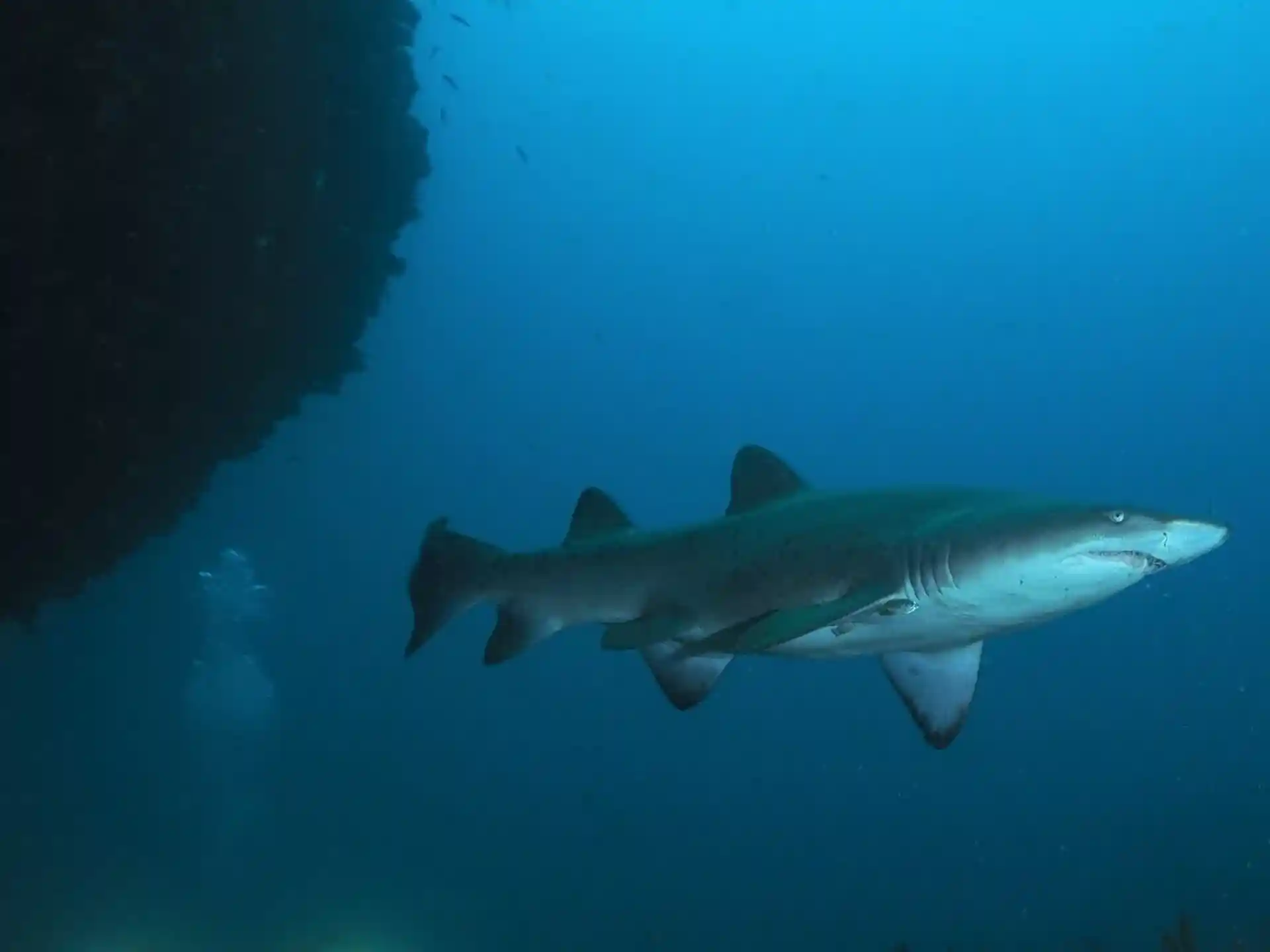 Photo du site de plongée