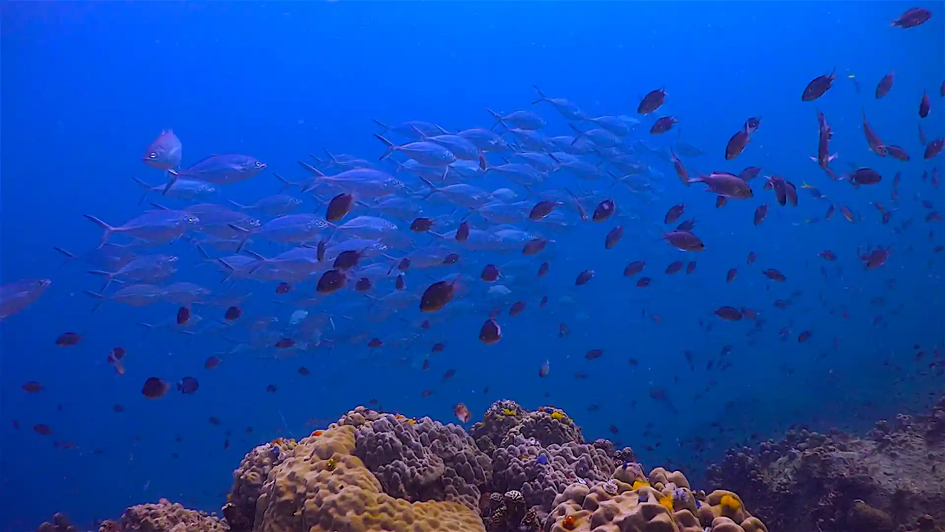 Dive site photo