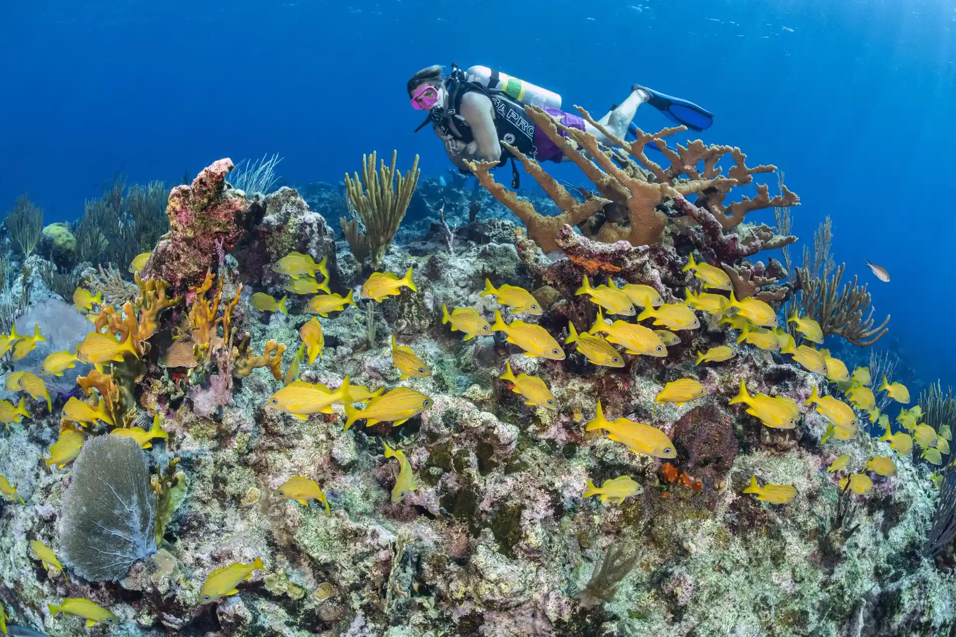 Dive site photo