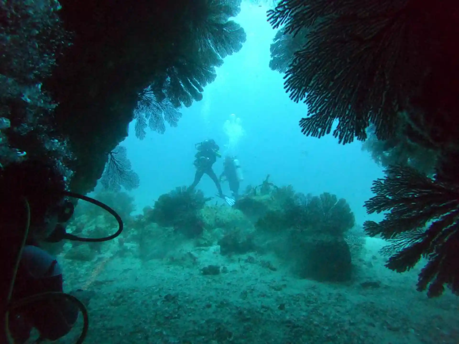Dive site photo
