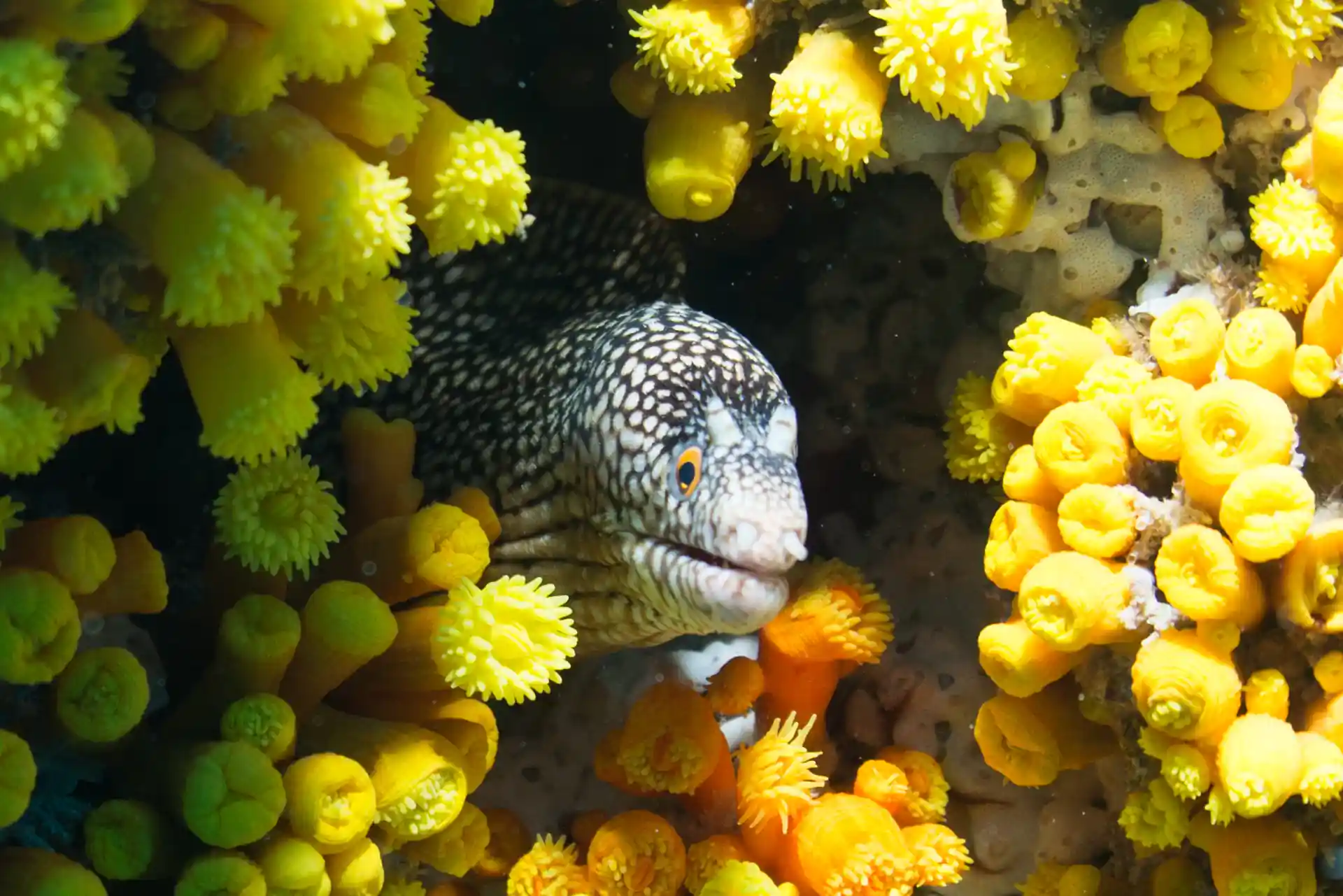 Dive site photo