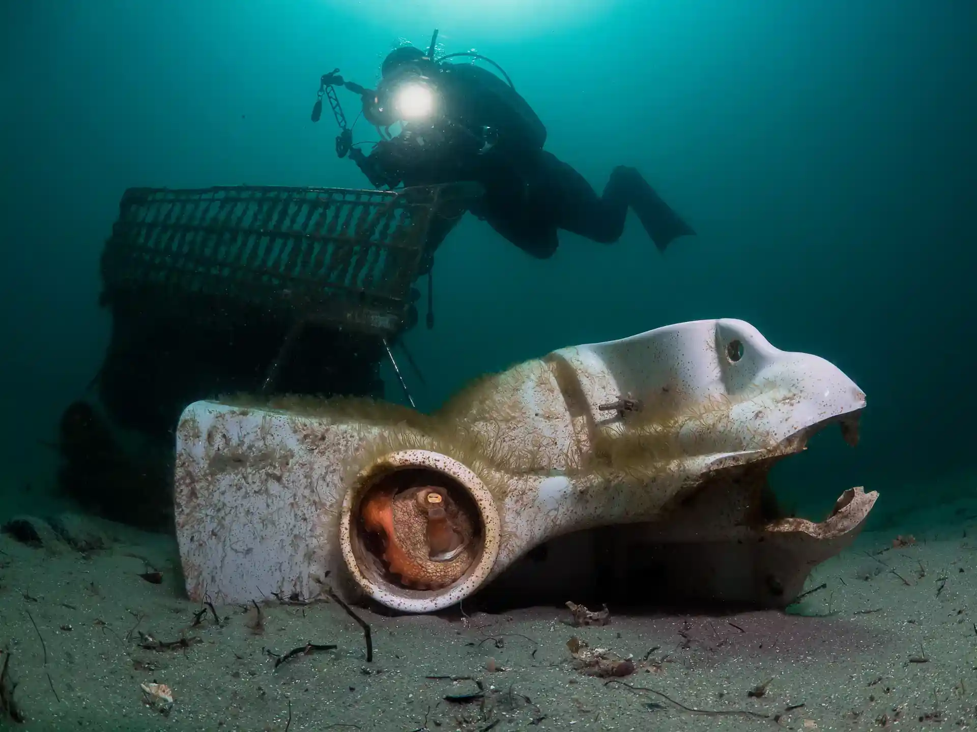 Dive site photo