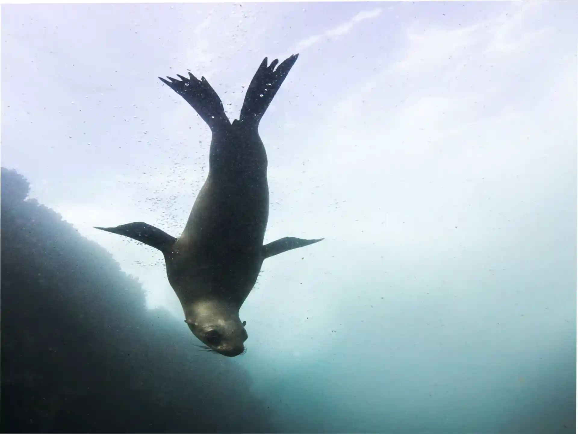 Dive site photo