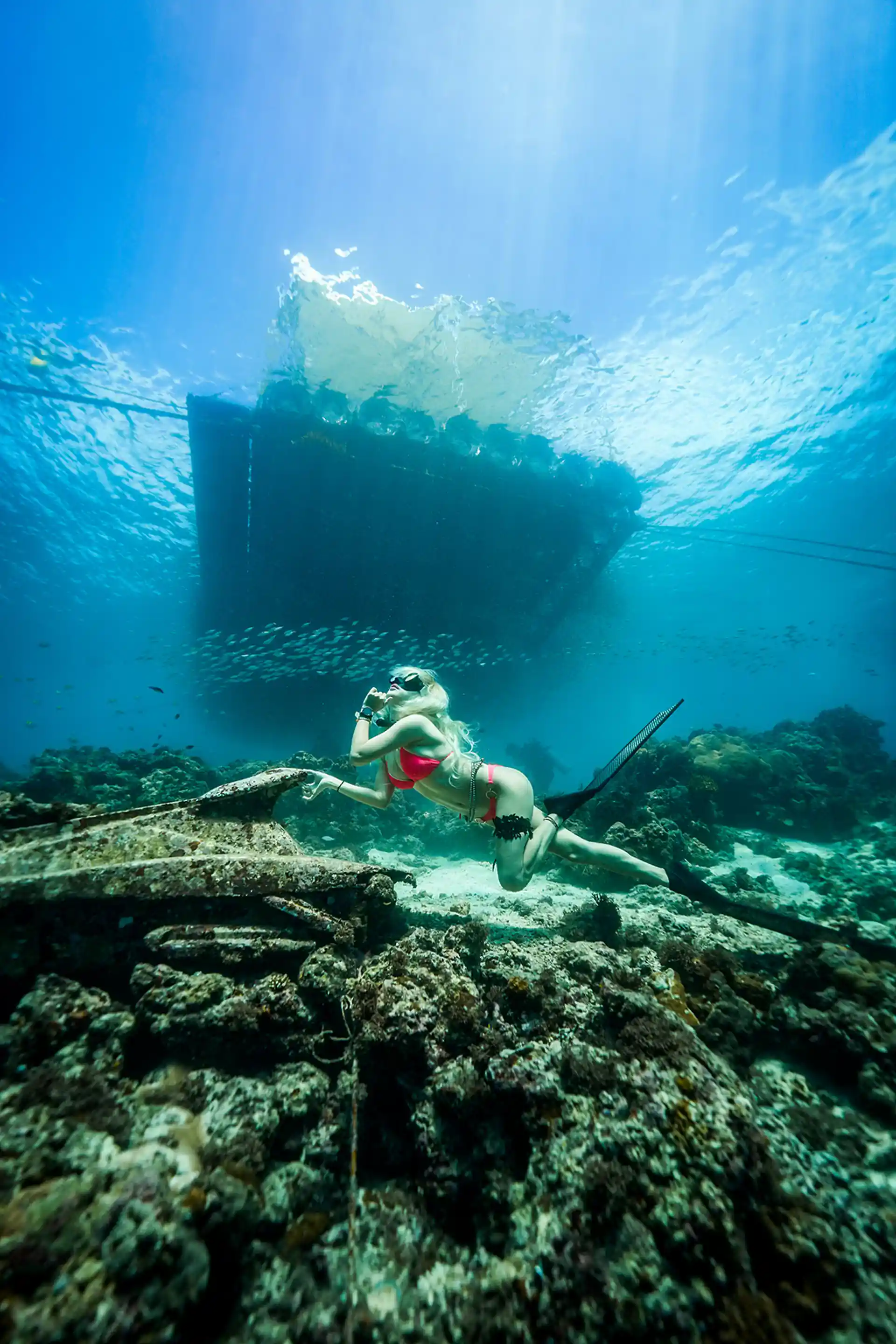 Dive shop photo