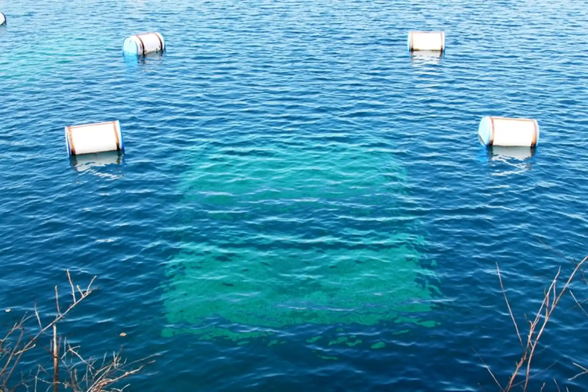 Photo du site de plongée