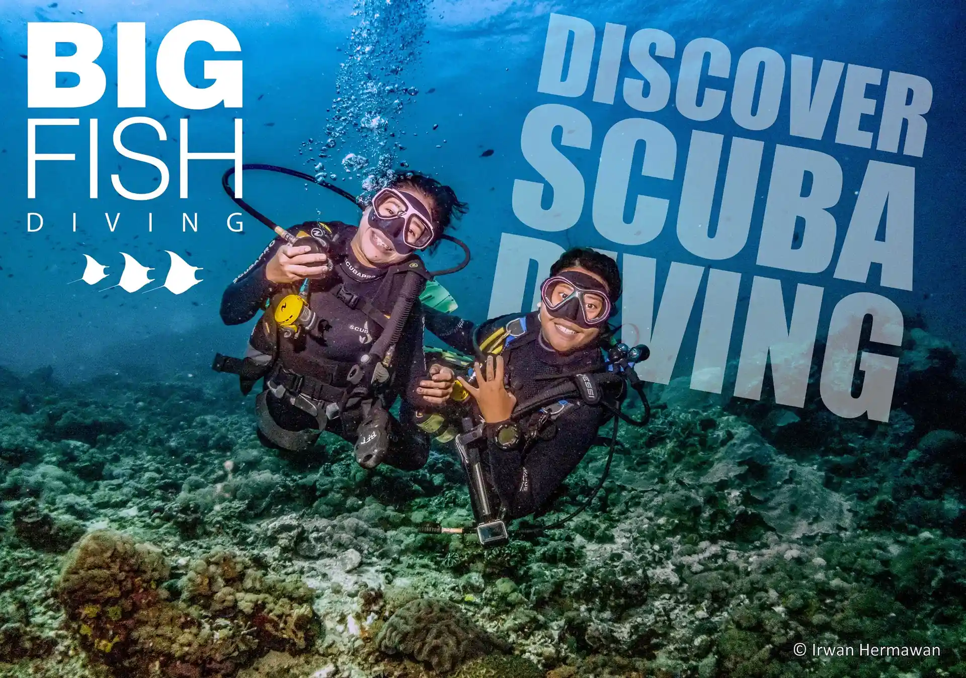 Foto de la actividad