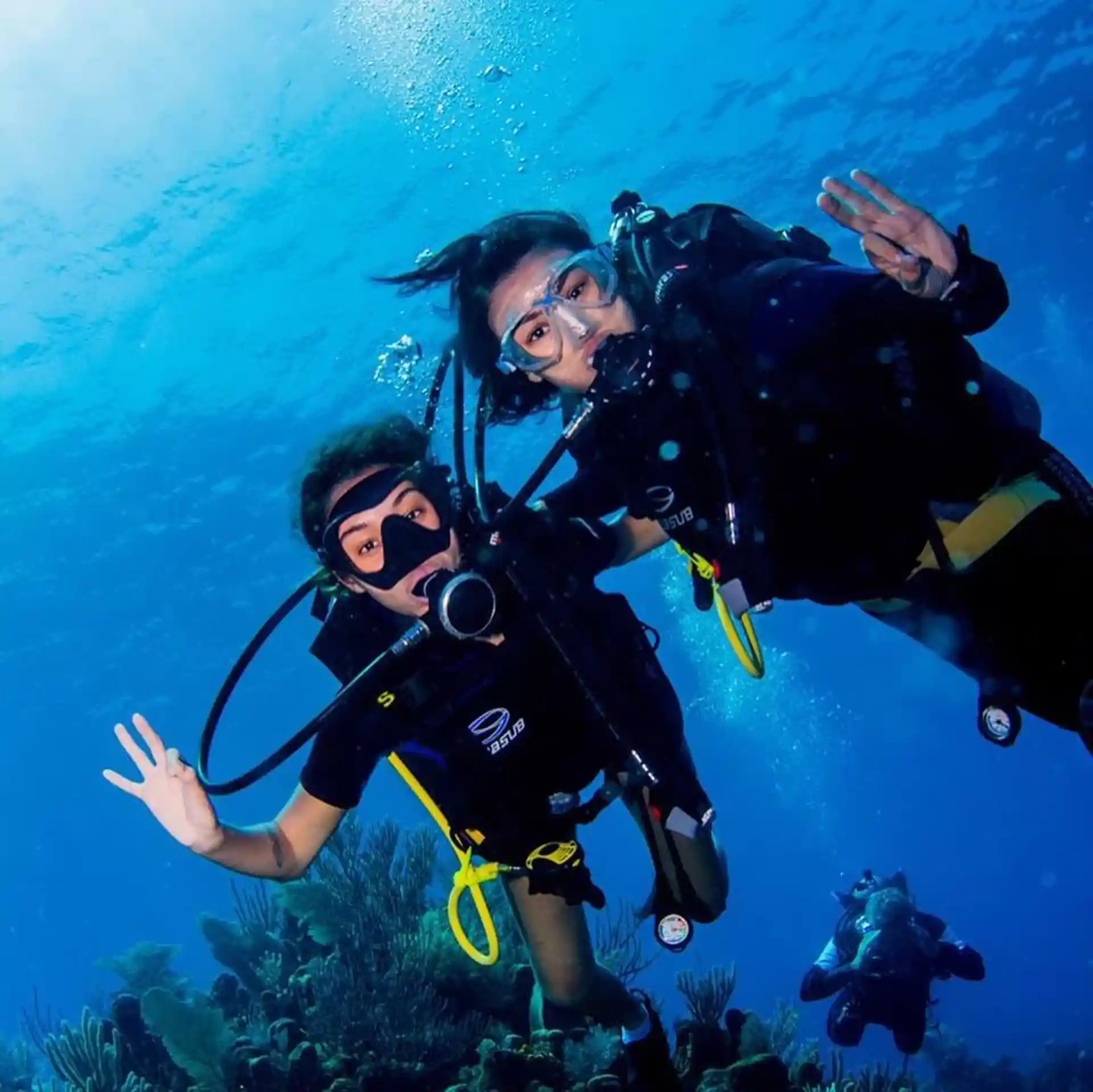 Foto de la actividad