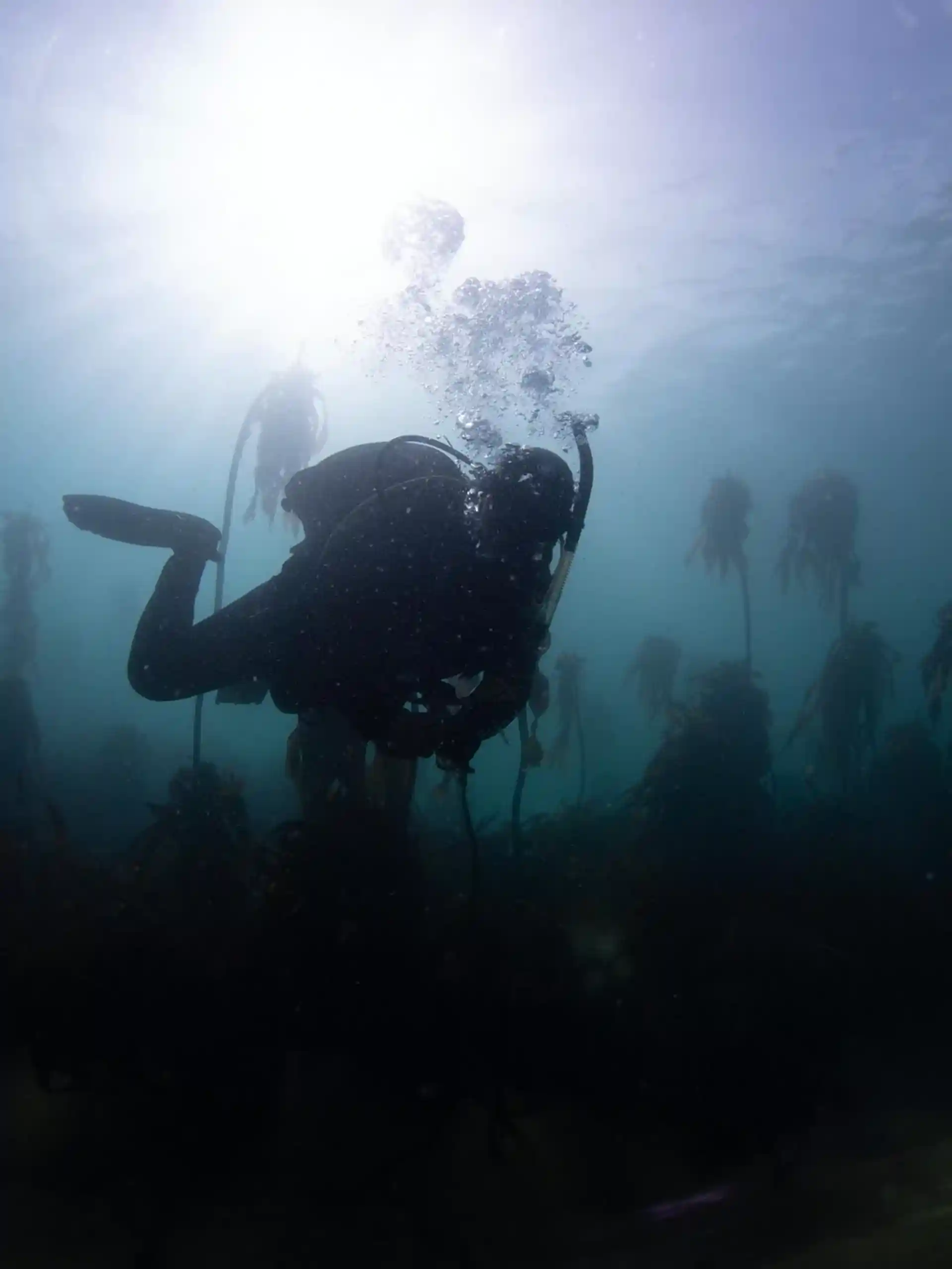 Dive site photo