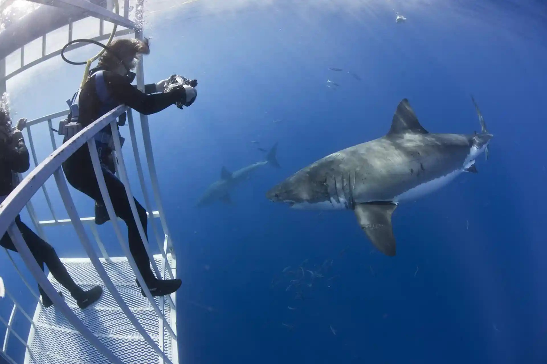 Dive shop photo