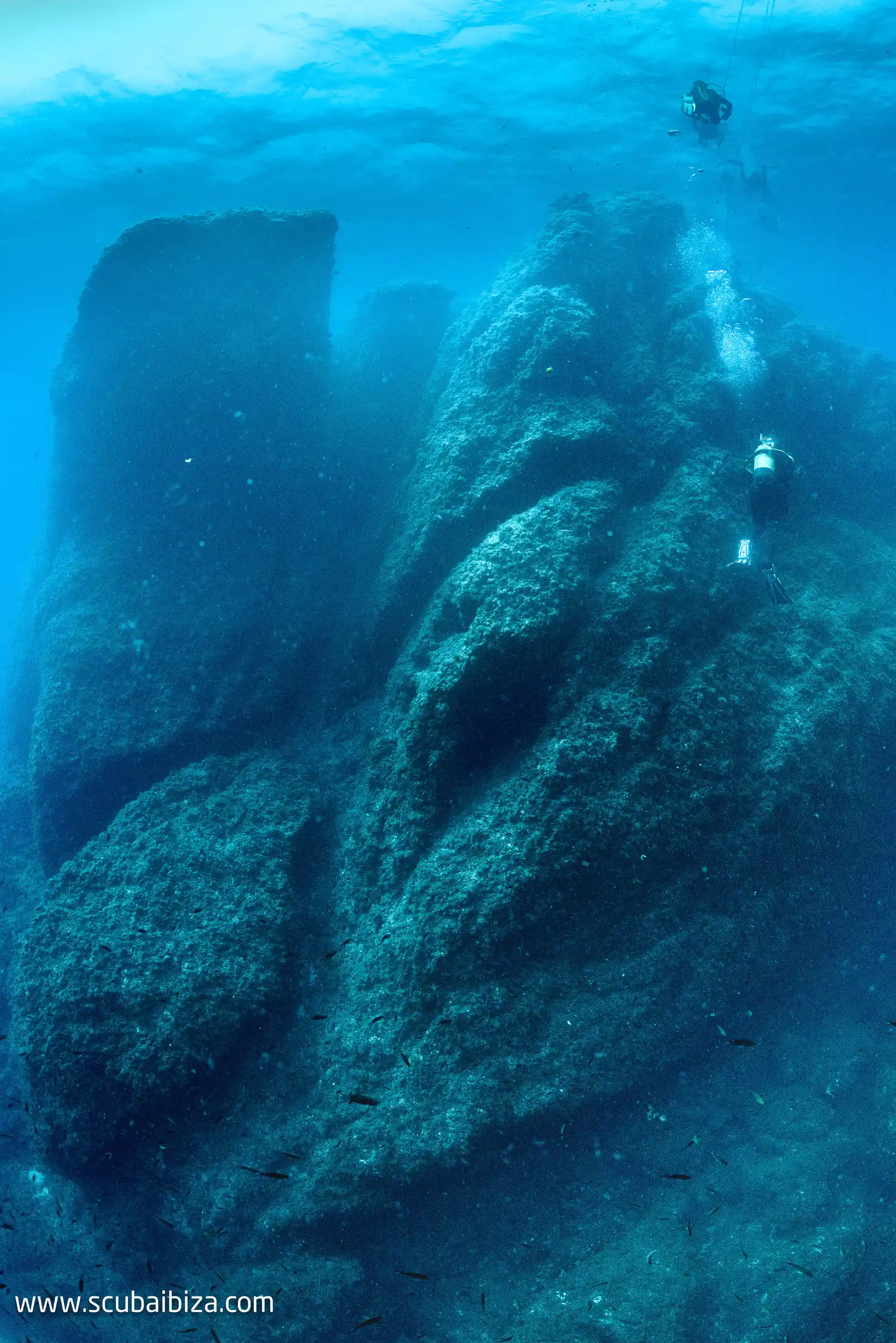 Foto de la actividad