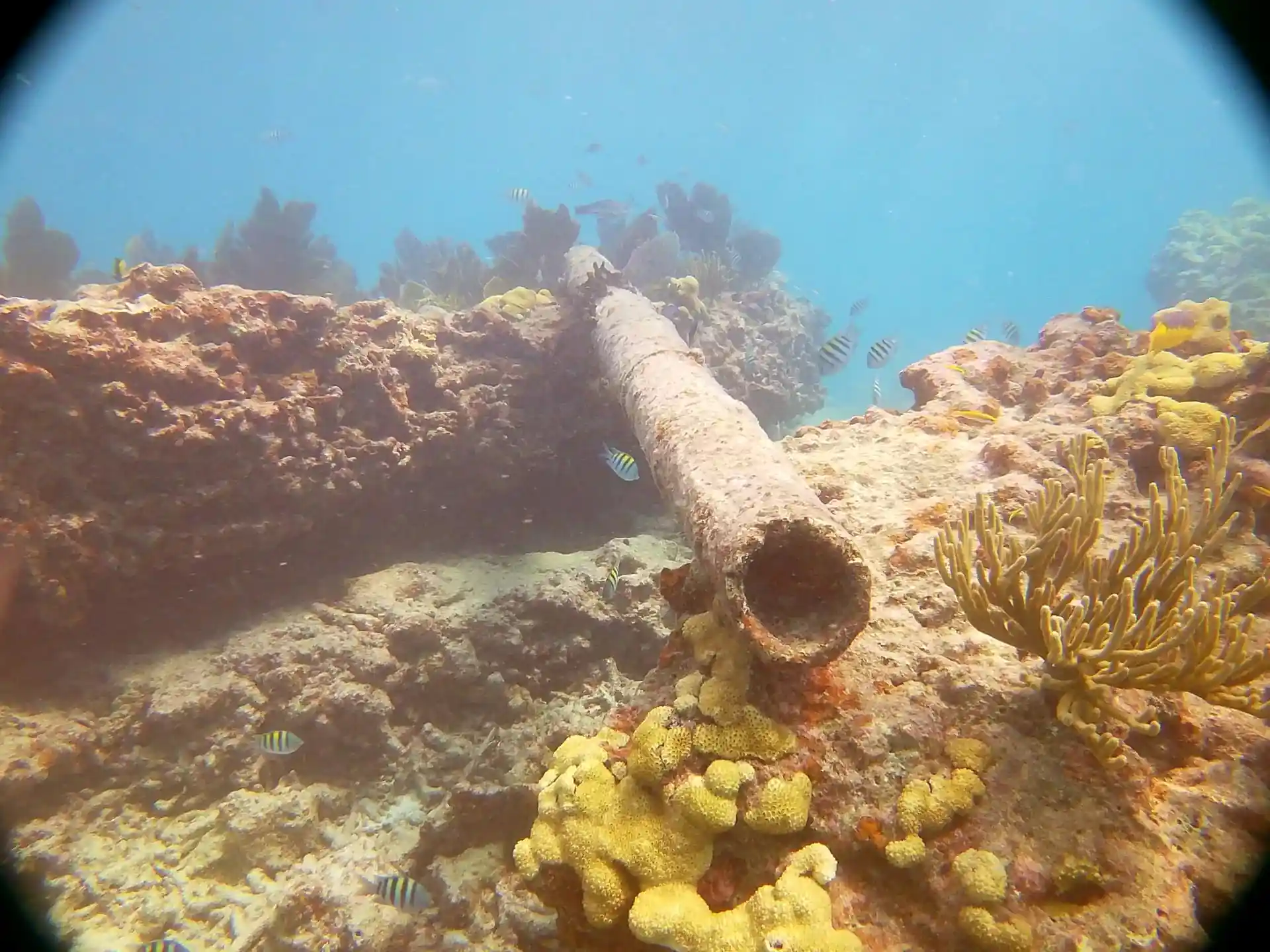 Foto del sitio de buceo