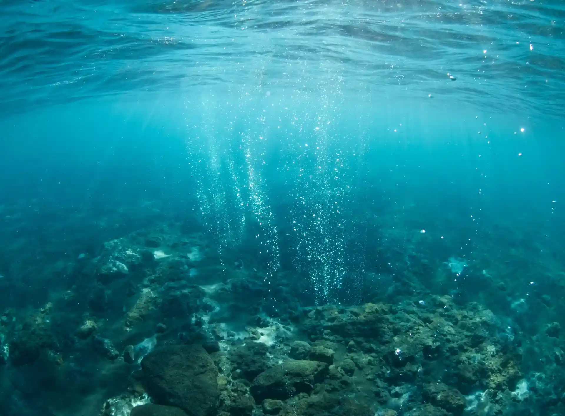 Dive site photo