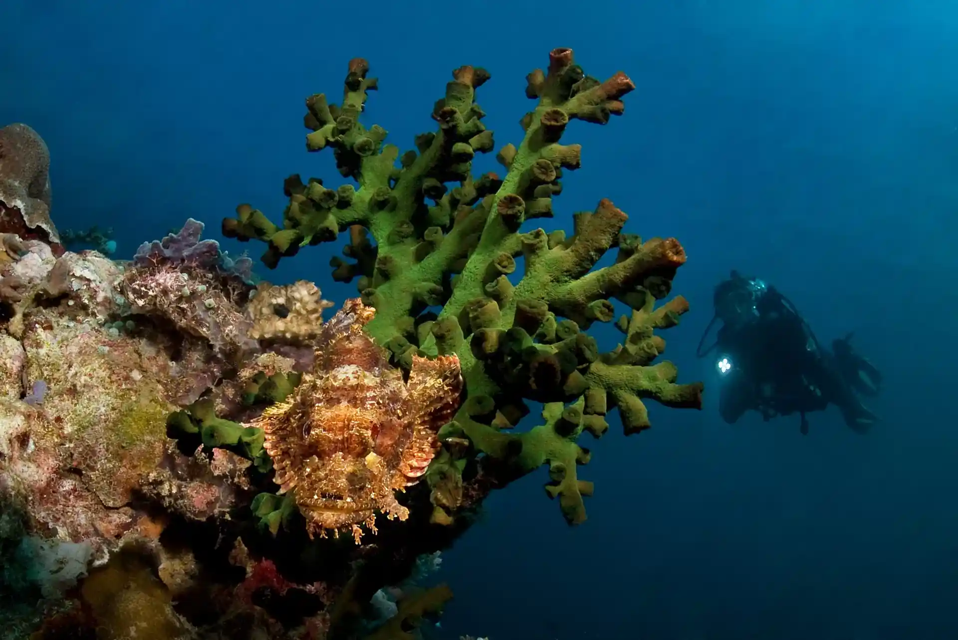 Foto des Tauchplatzes