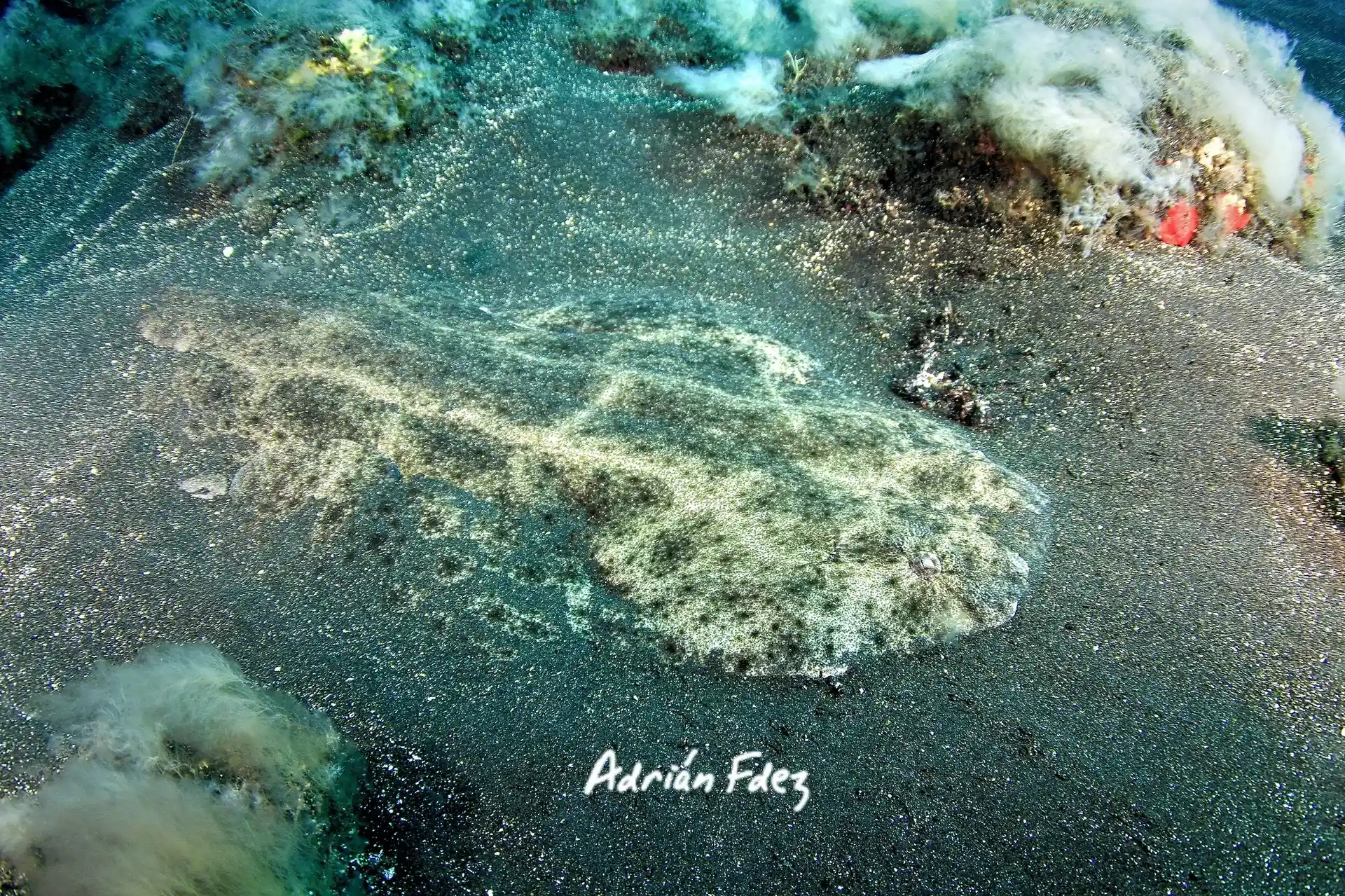 Dive site photo