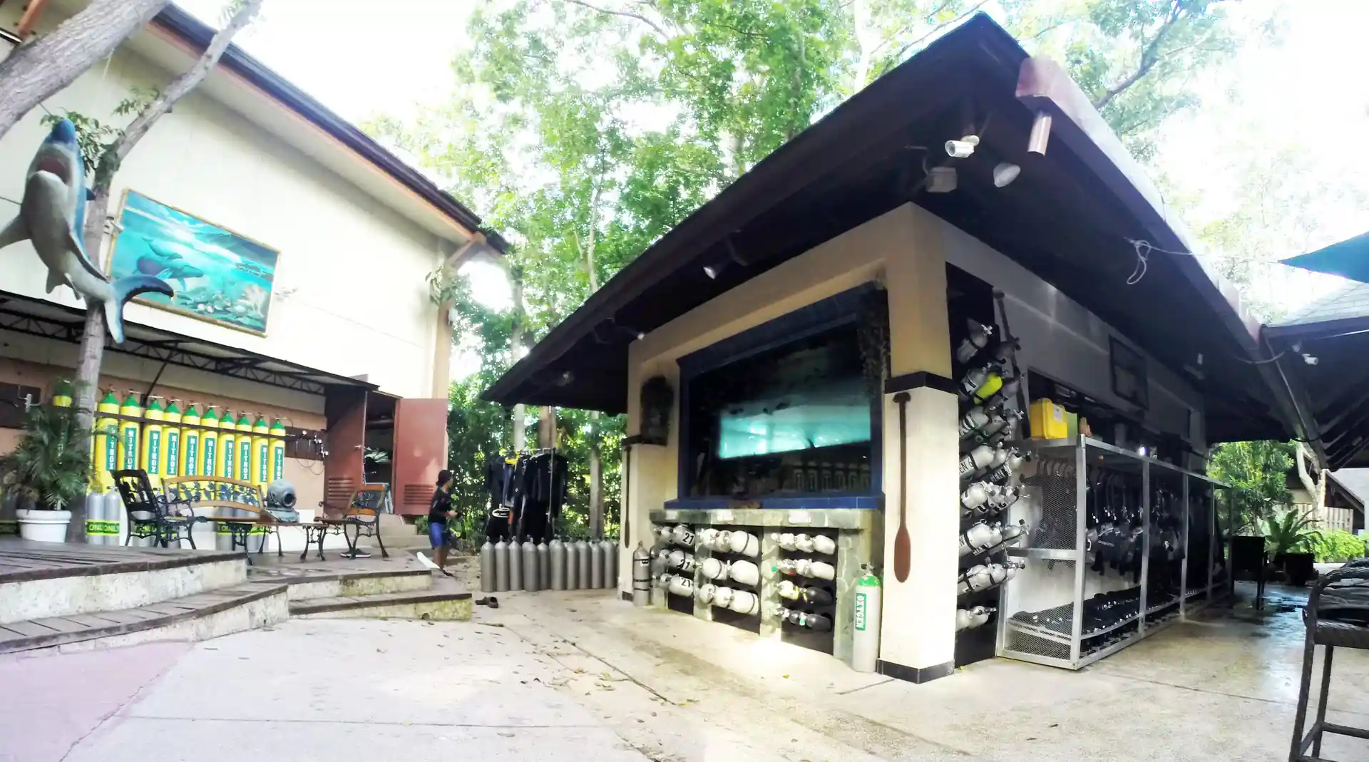 Dive shop photo