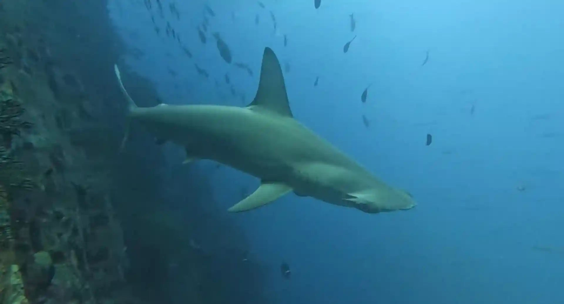 Dive site photo