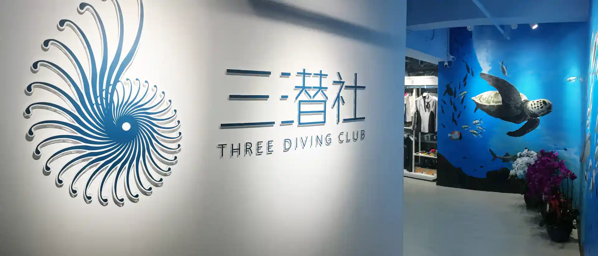 主要照片
