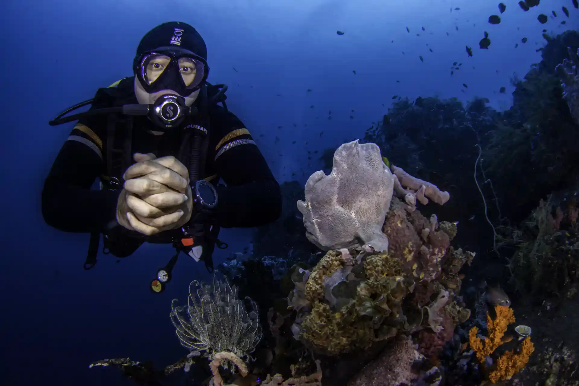 Dive shop photo