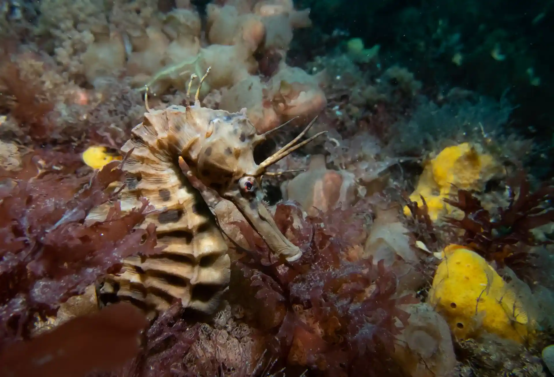 다이빙 포인트 사진