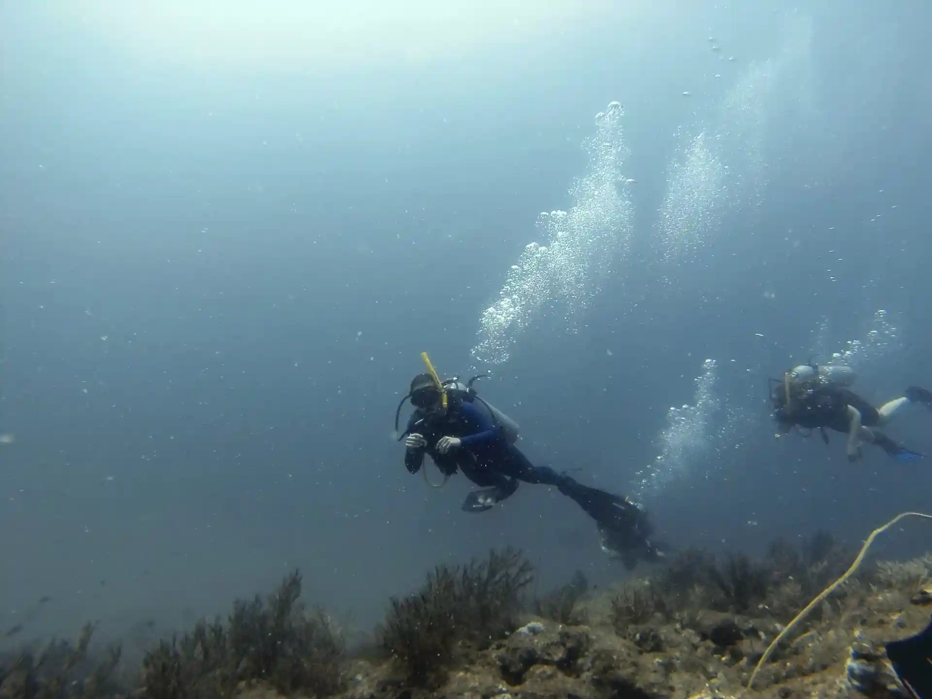 Dive site photo