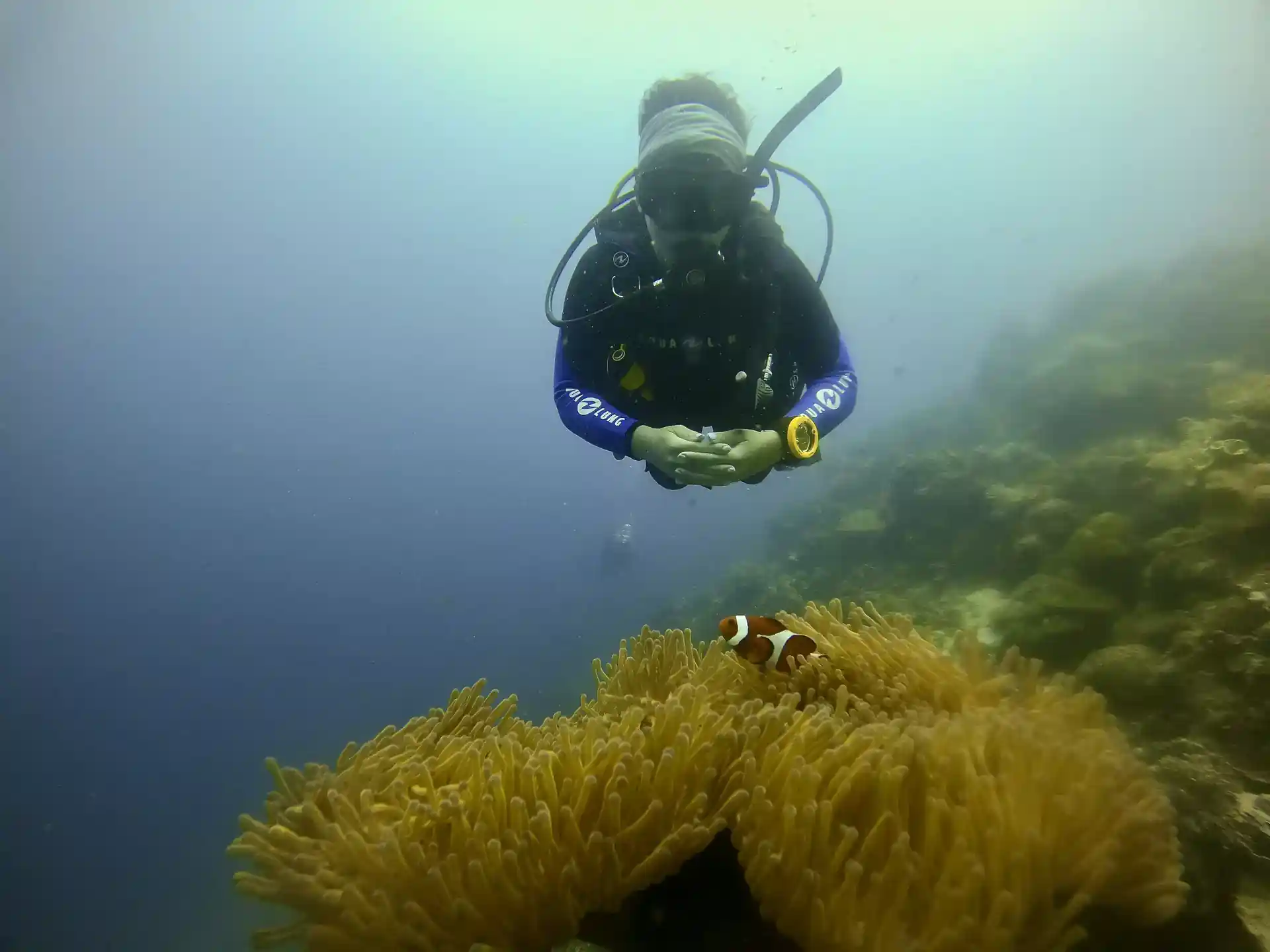 Dive site photo