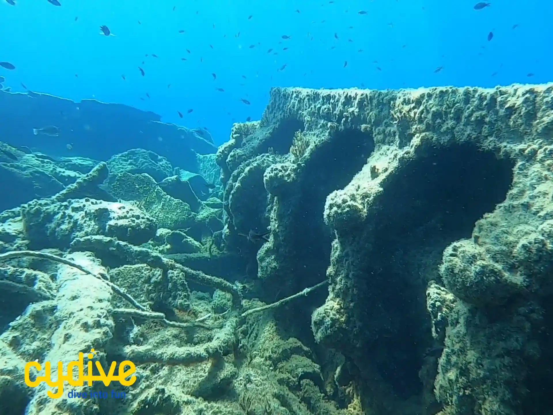 Photo du site de plongée