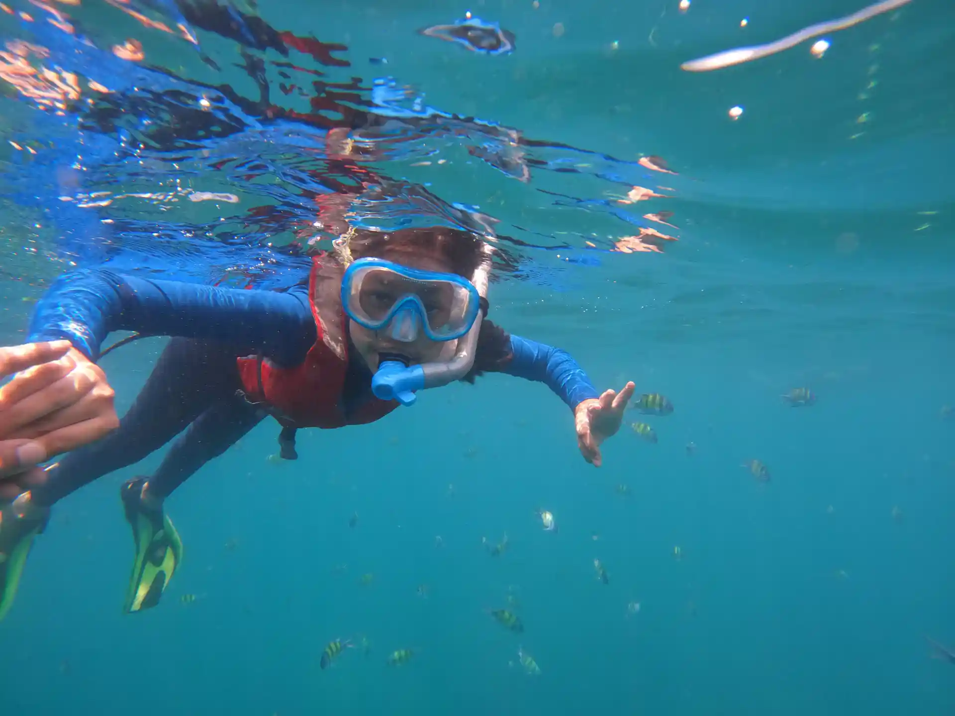 Snorkeller at Oval Reef, Havelock, Andaman Islands
