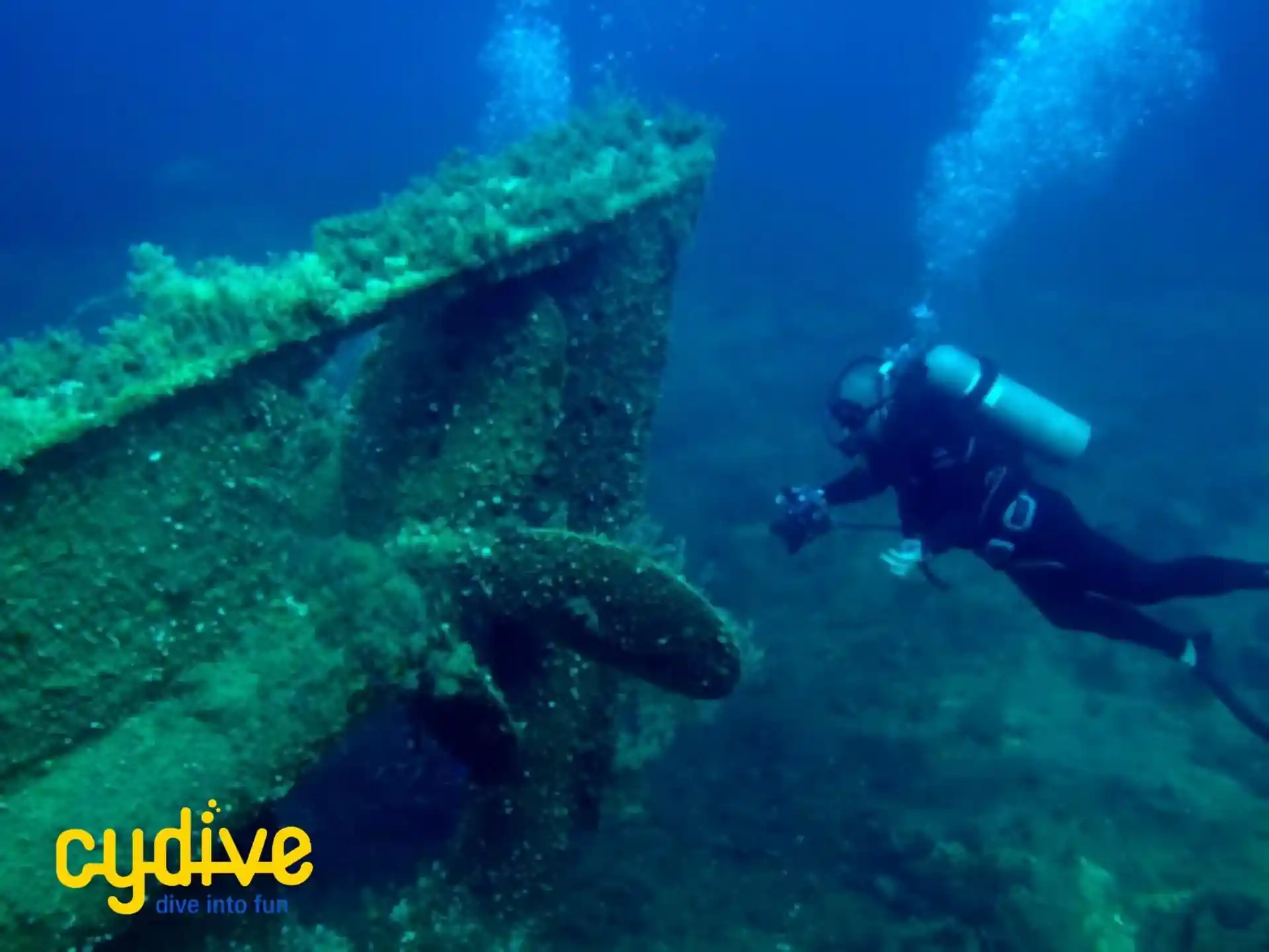 Photo du site de plongée