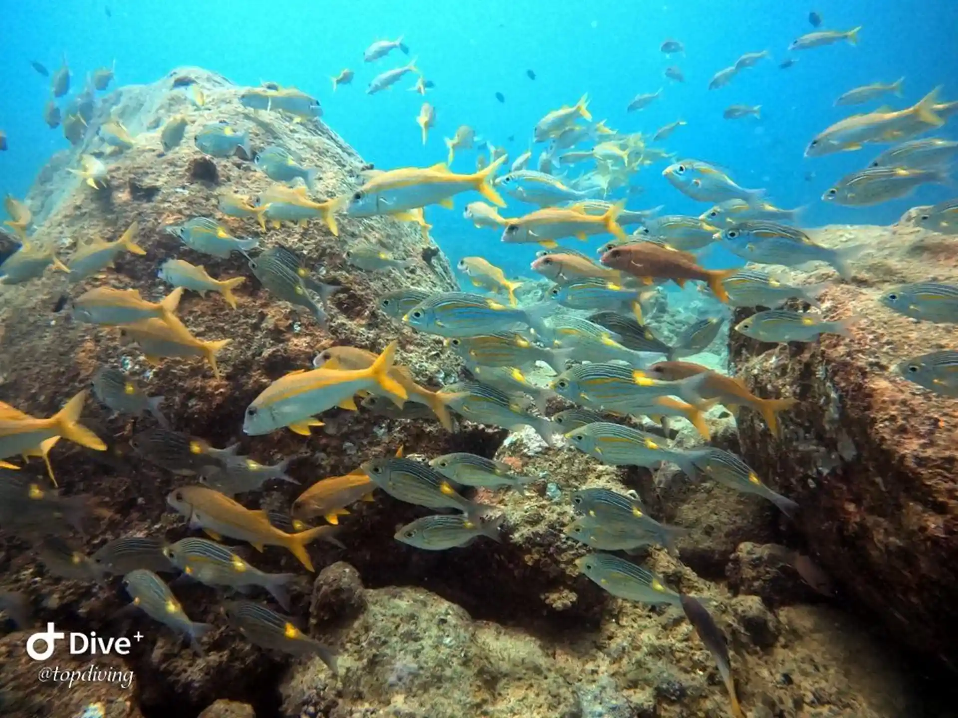 Dive site photo