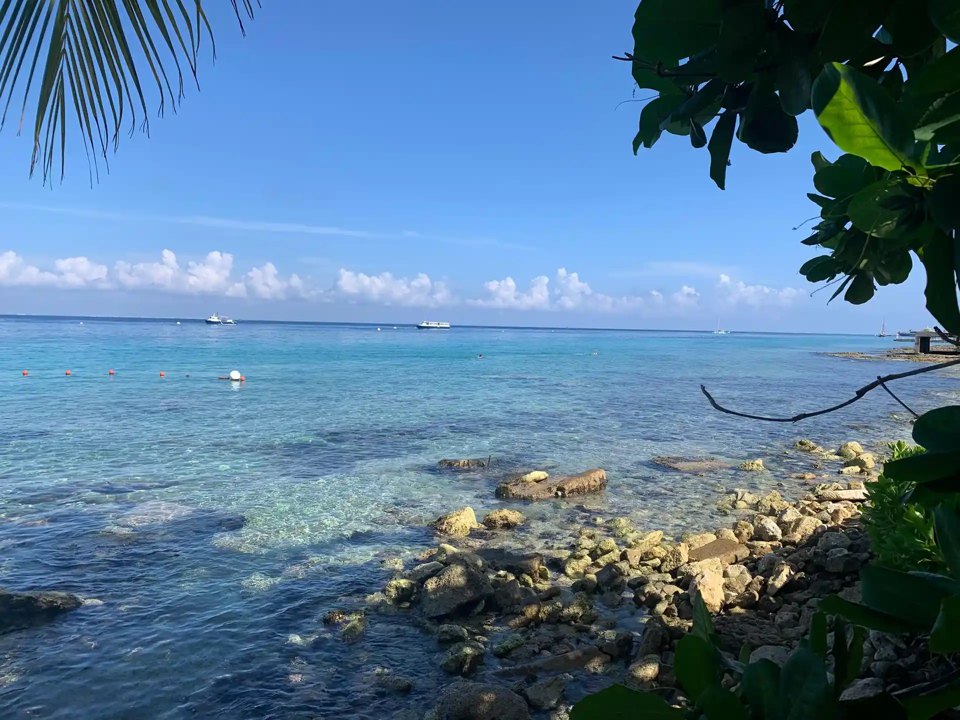 Enjoy a half day at a beautiful topical beach!