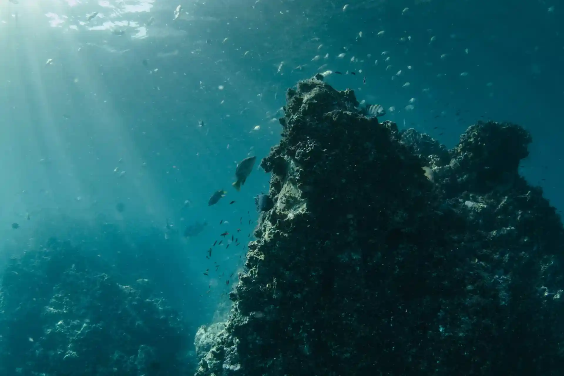 Dive site photo