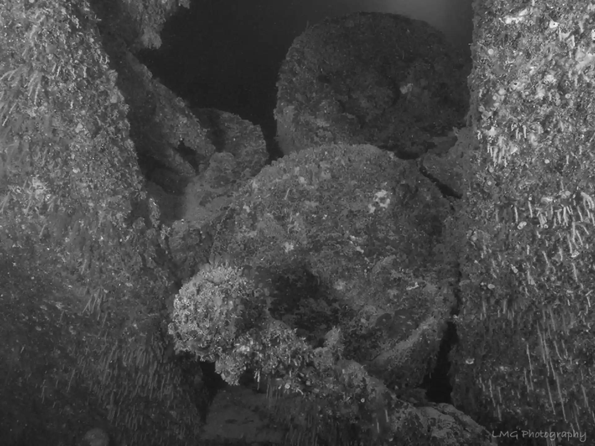 Dive site photo