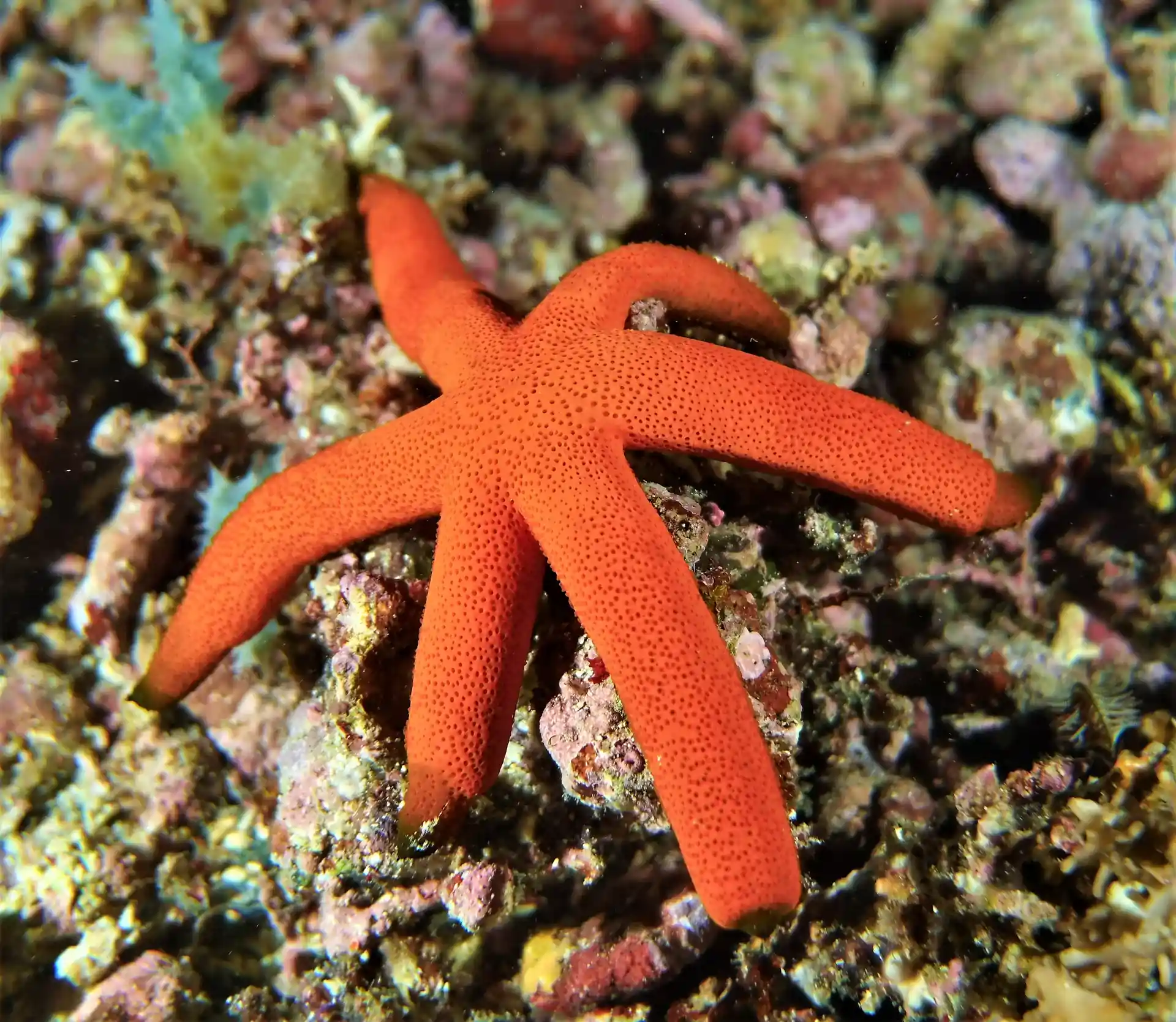 Dive shop photo