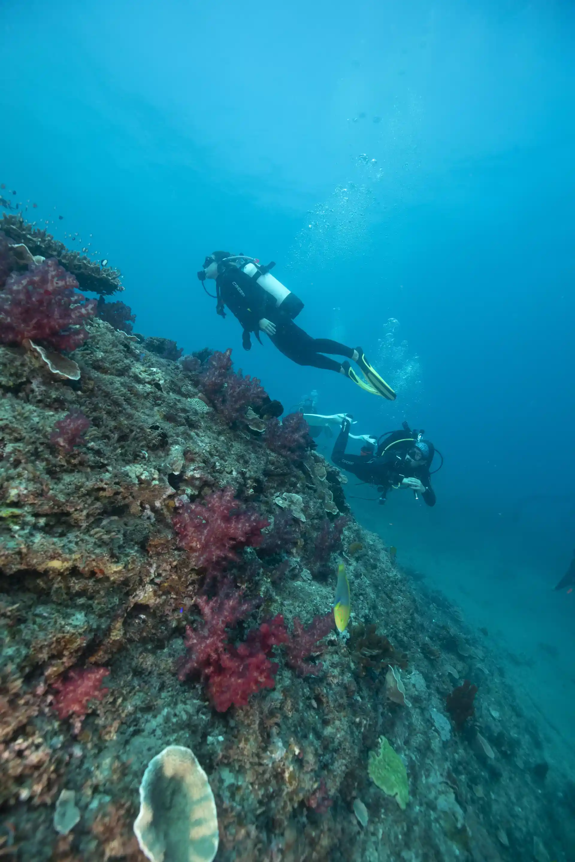 Dive shop photo